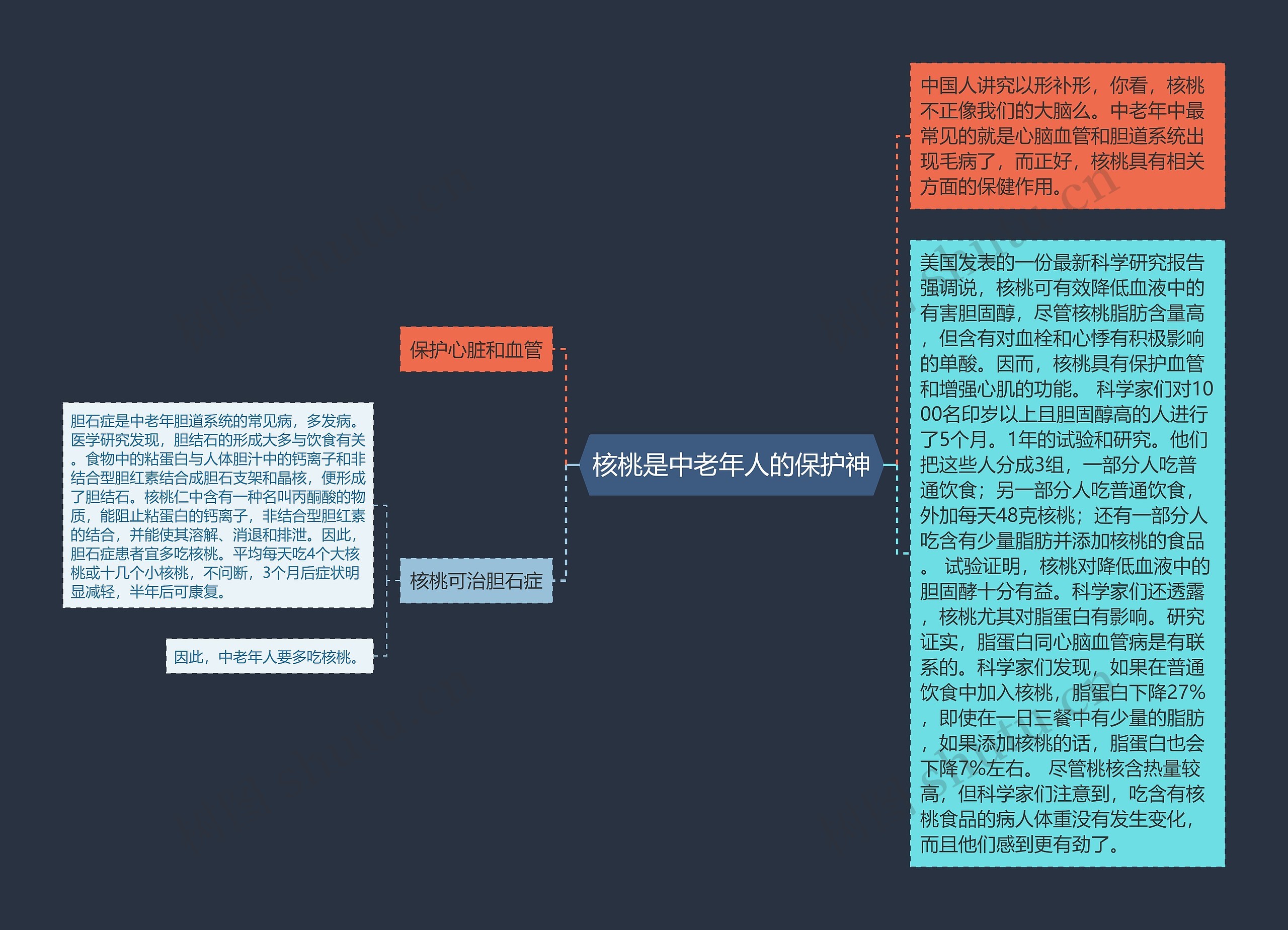 核桃是中老年人的保护神思维导图