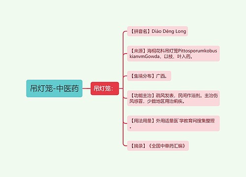 吊灯笼-中医药