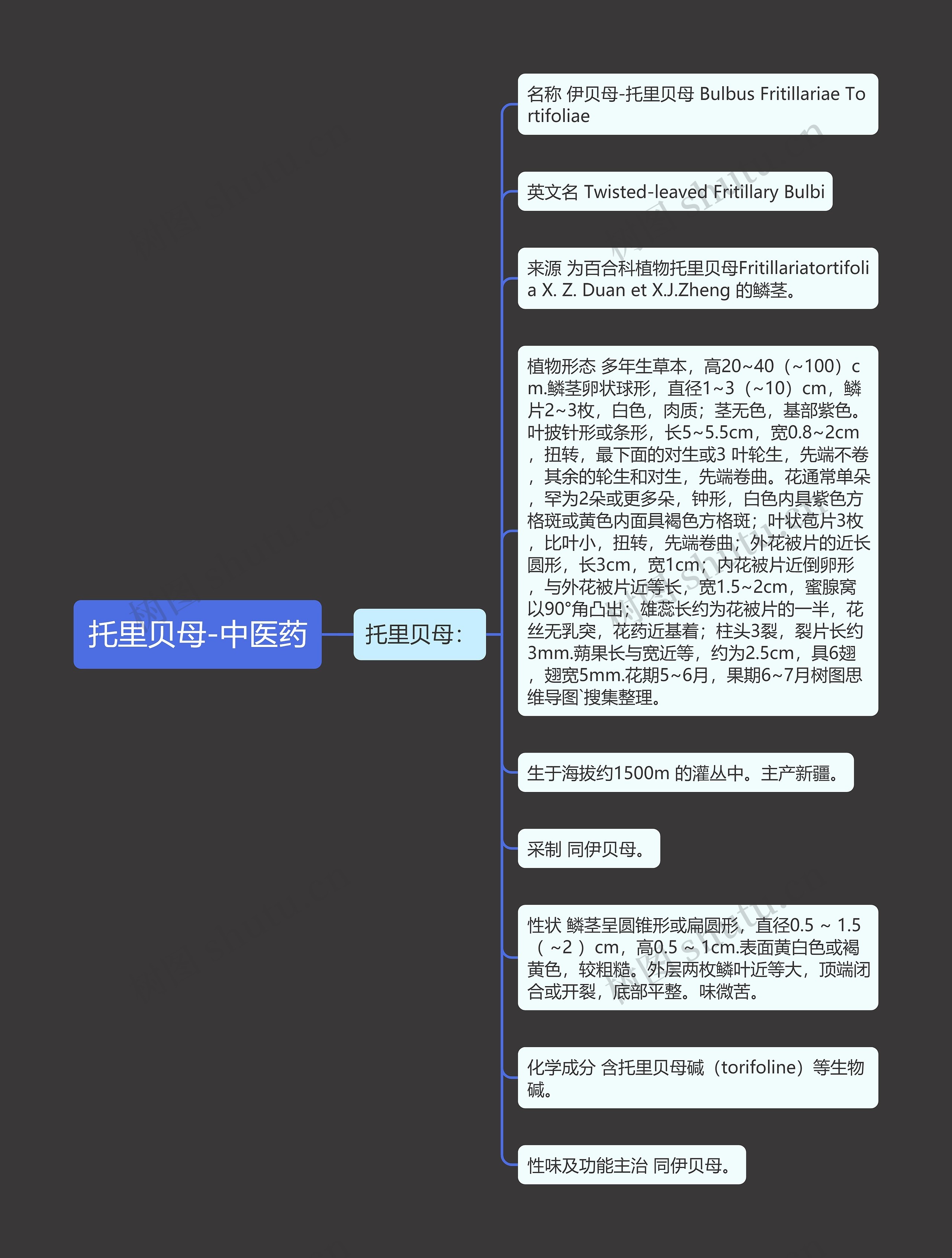 托里贝母-中医药思维导图