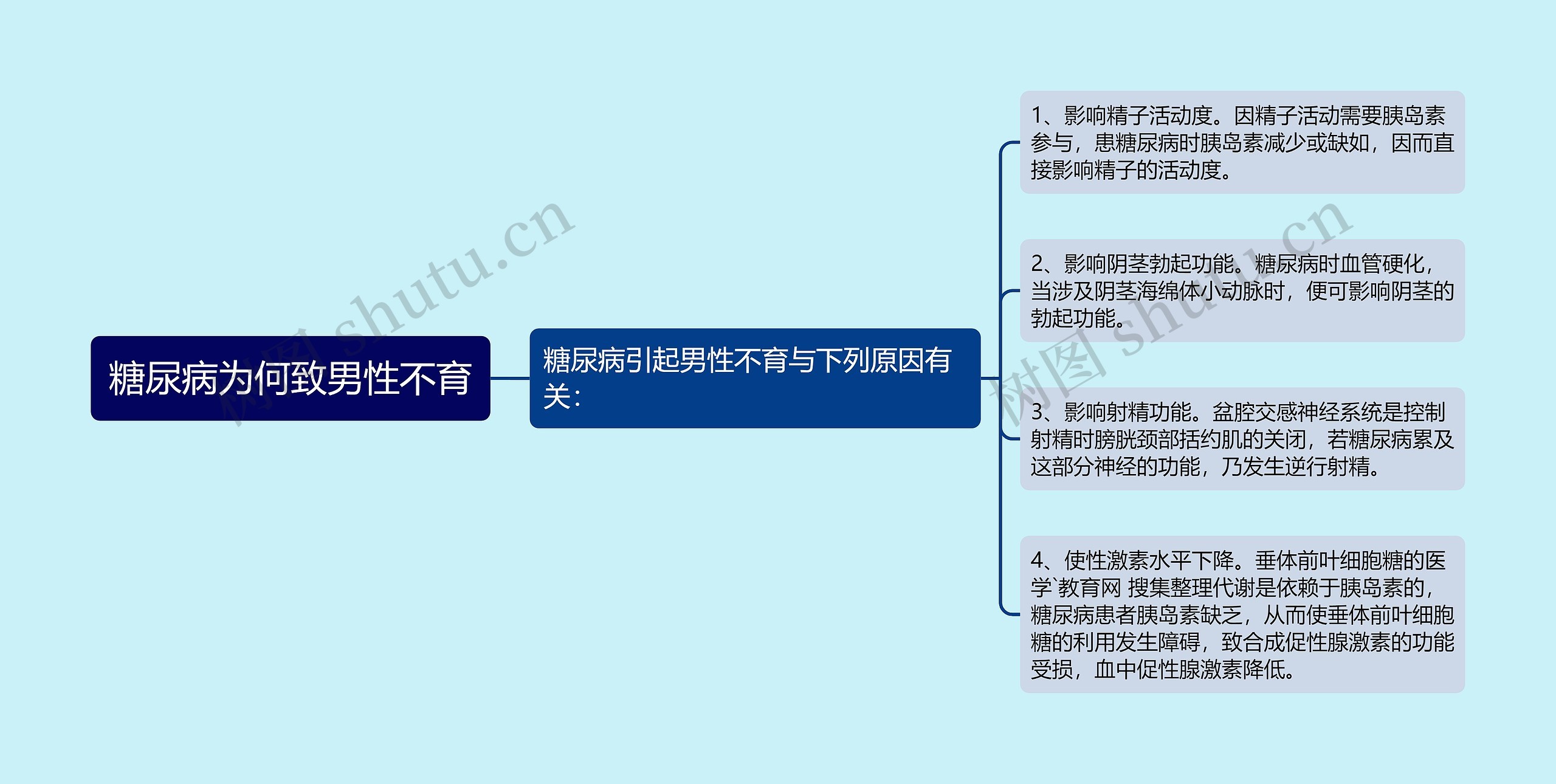 糖尿病为何致男性不育思维导图