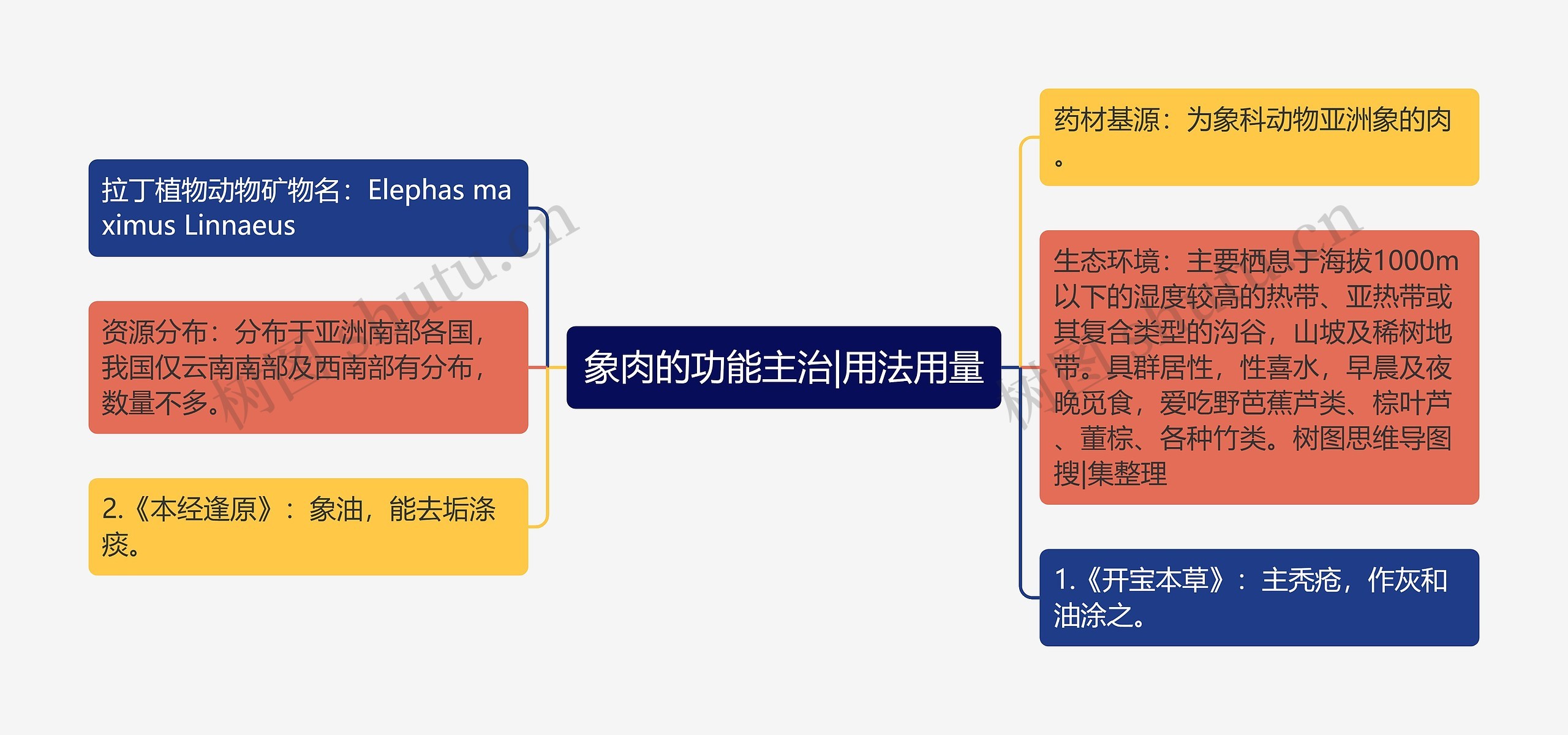 象肉的功能主治|用法用量