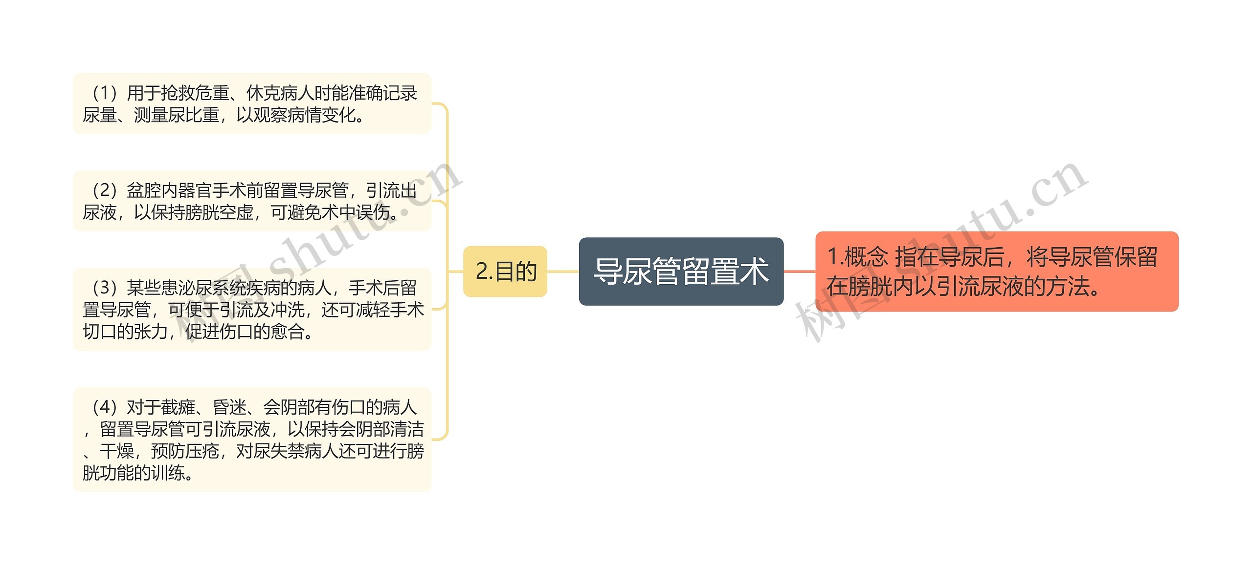 导尿管留置术思维导图