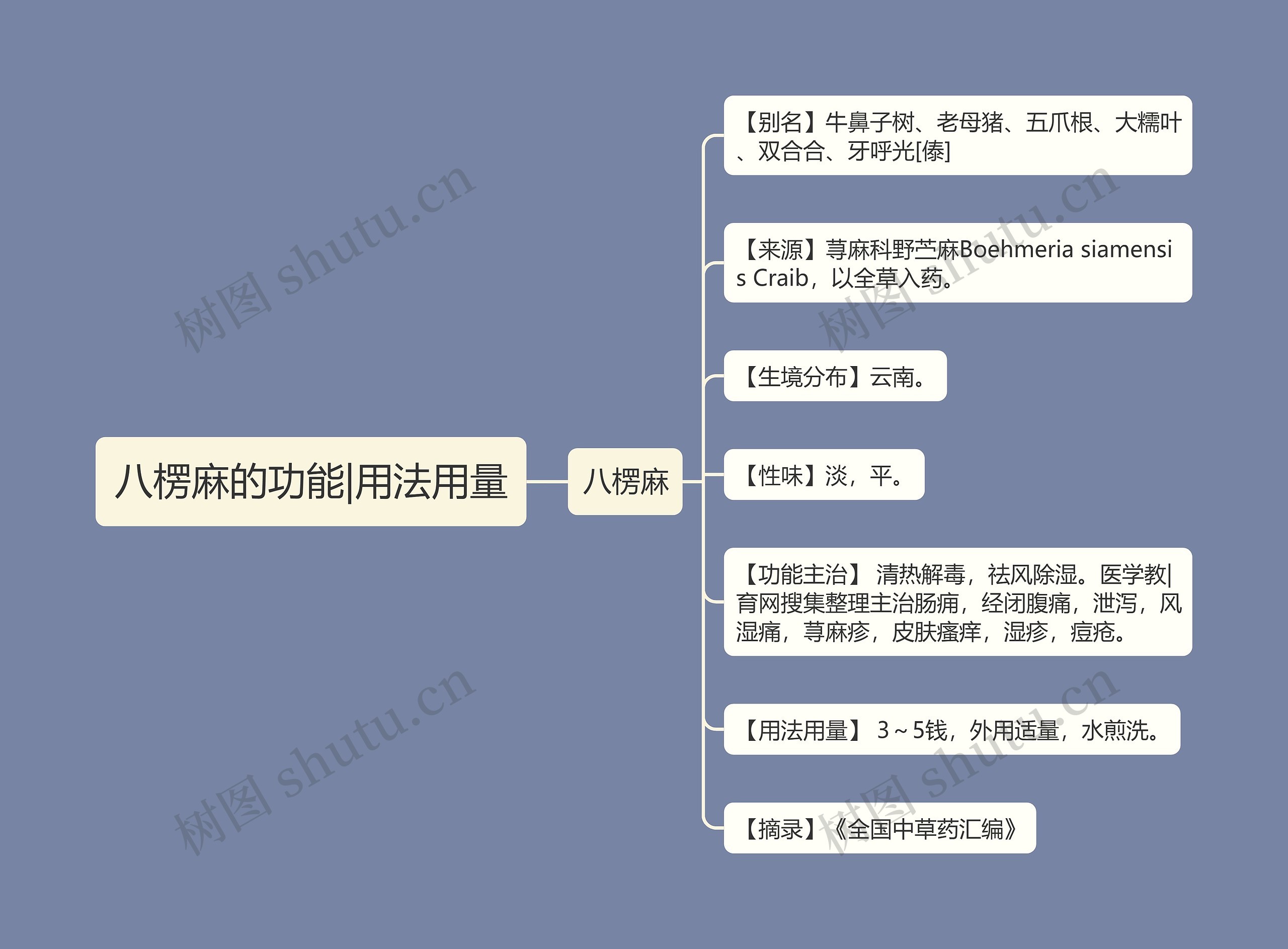 八楞麻的功能|用法用量思维导图