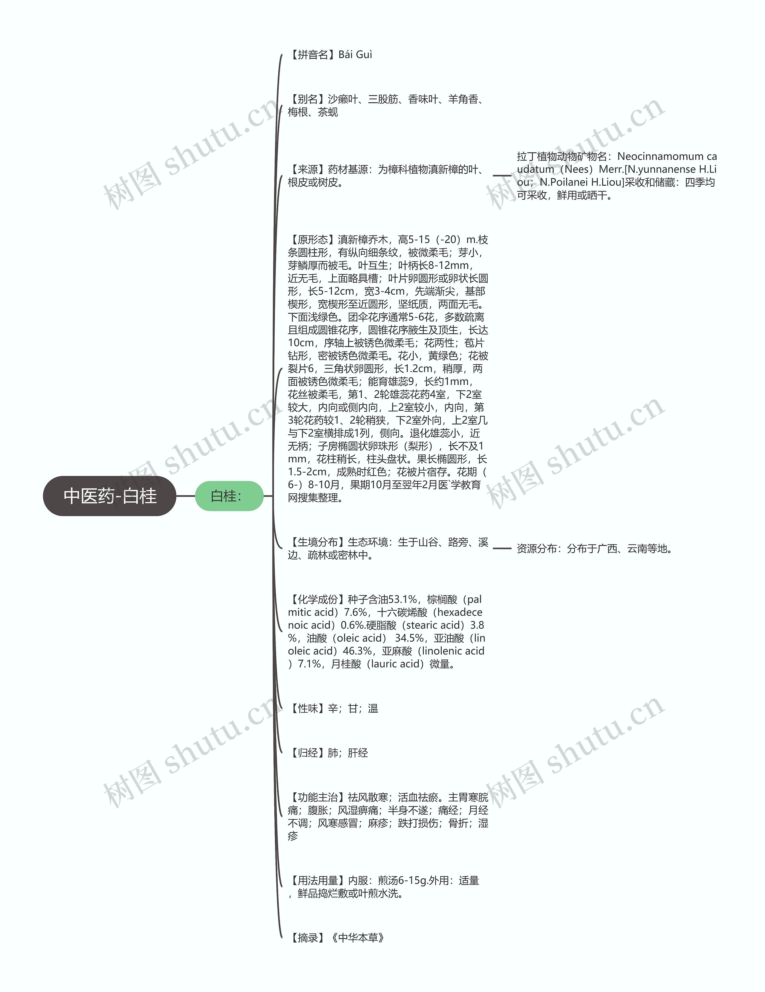 中医药-白桂思维导图