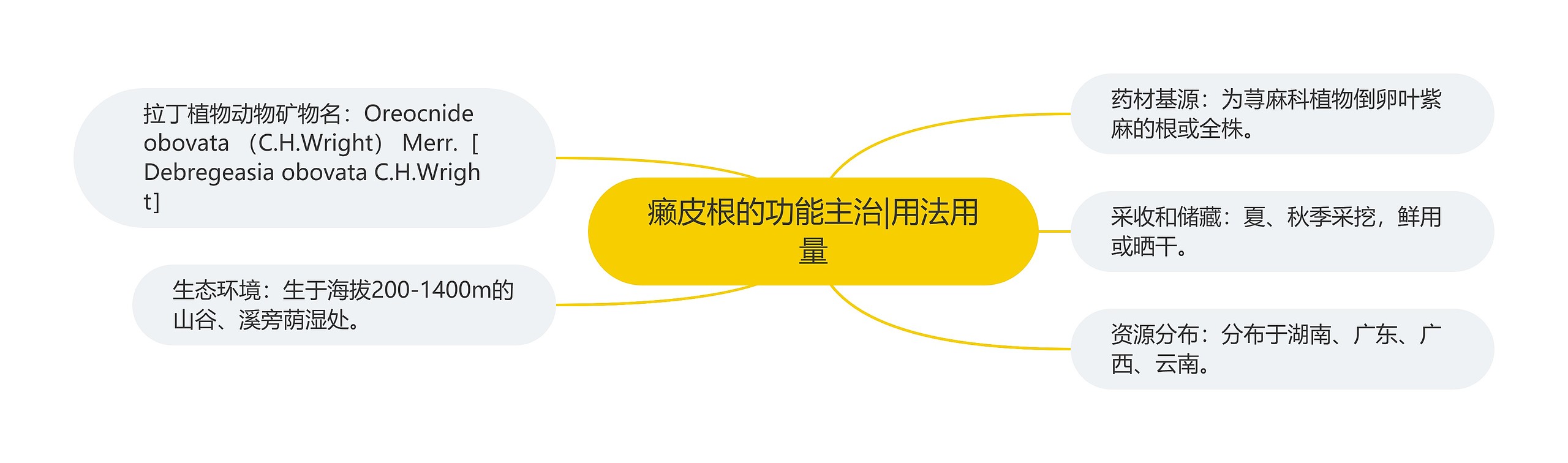 癞皮根的功能主治|用法用量 癞皮根的功能主治|用法用量