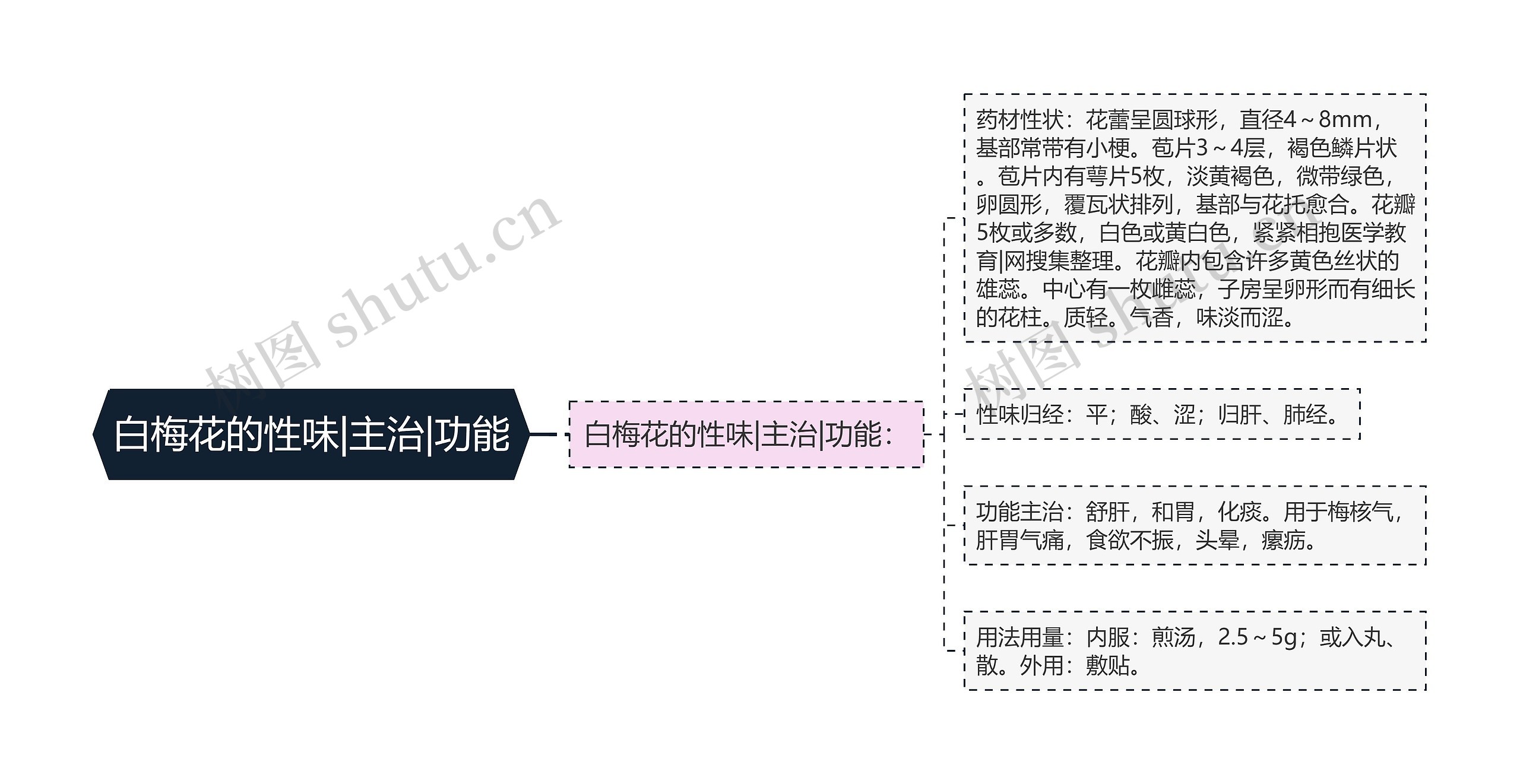 白梅花的性味|主治|功能 白梅花的性味|主治|功能