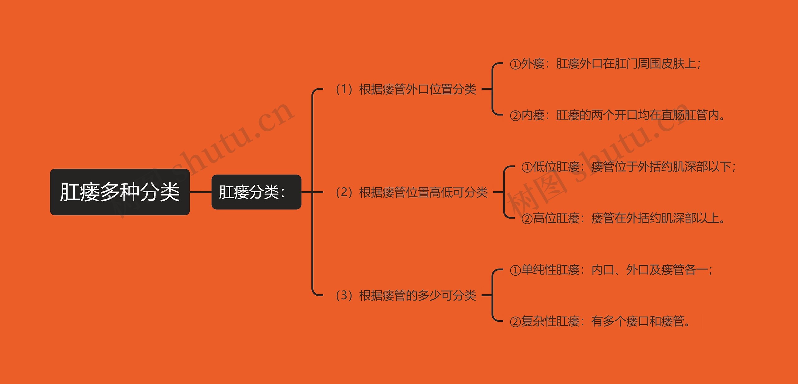 肛瘘多种分类思维导图