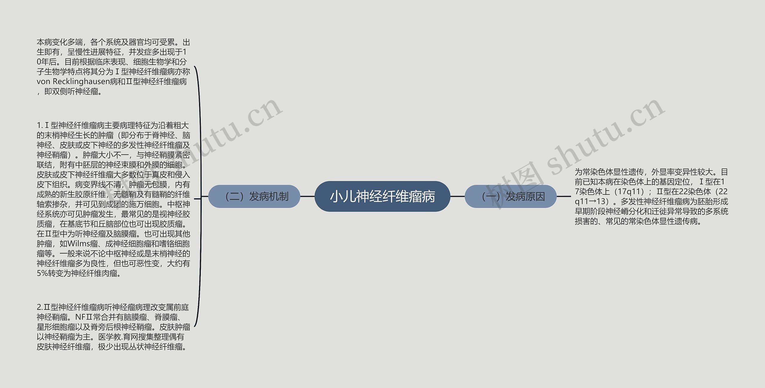 小儿神经纤维瘤病思维导图