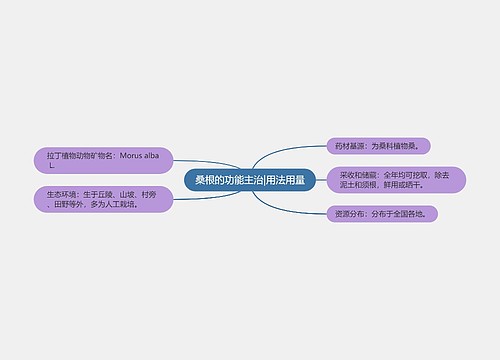 桑根的功能主治|用法用量