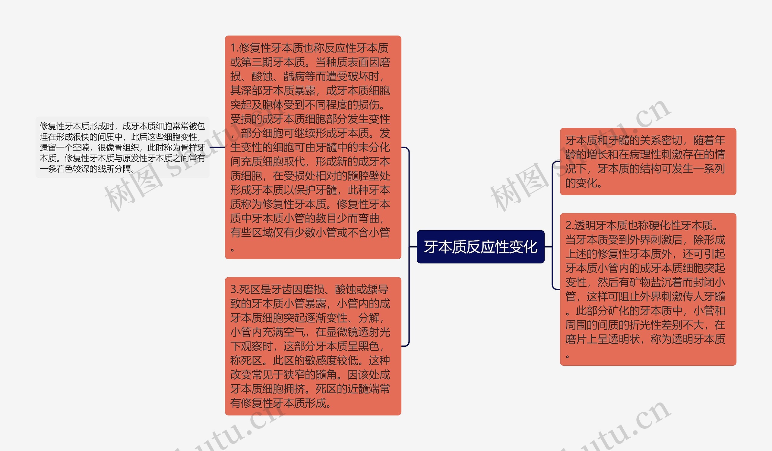 牙本质反应性变化思维导图