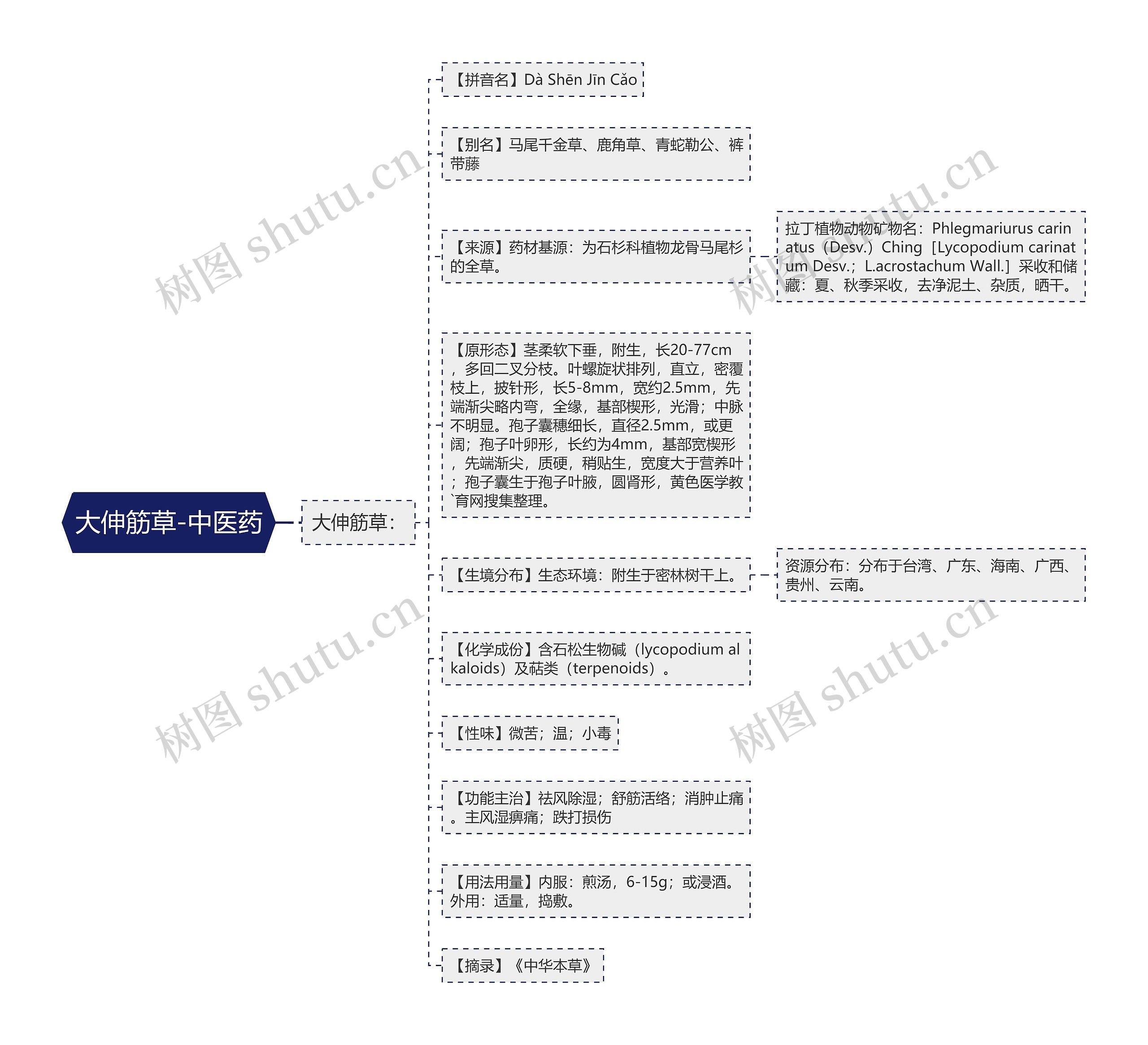 大伸筋草-中医药思维导图