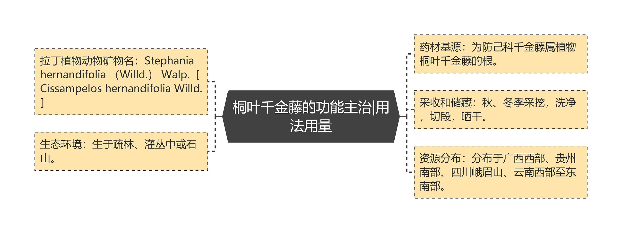 桐叶千金藤的功能主治|用法用量思维导图