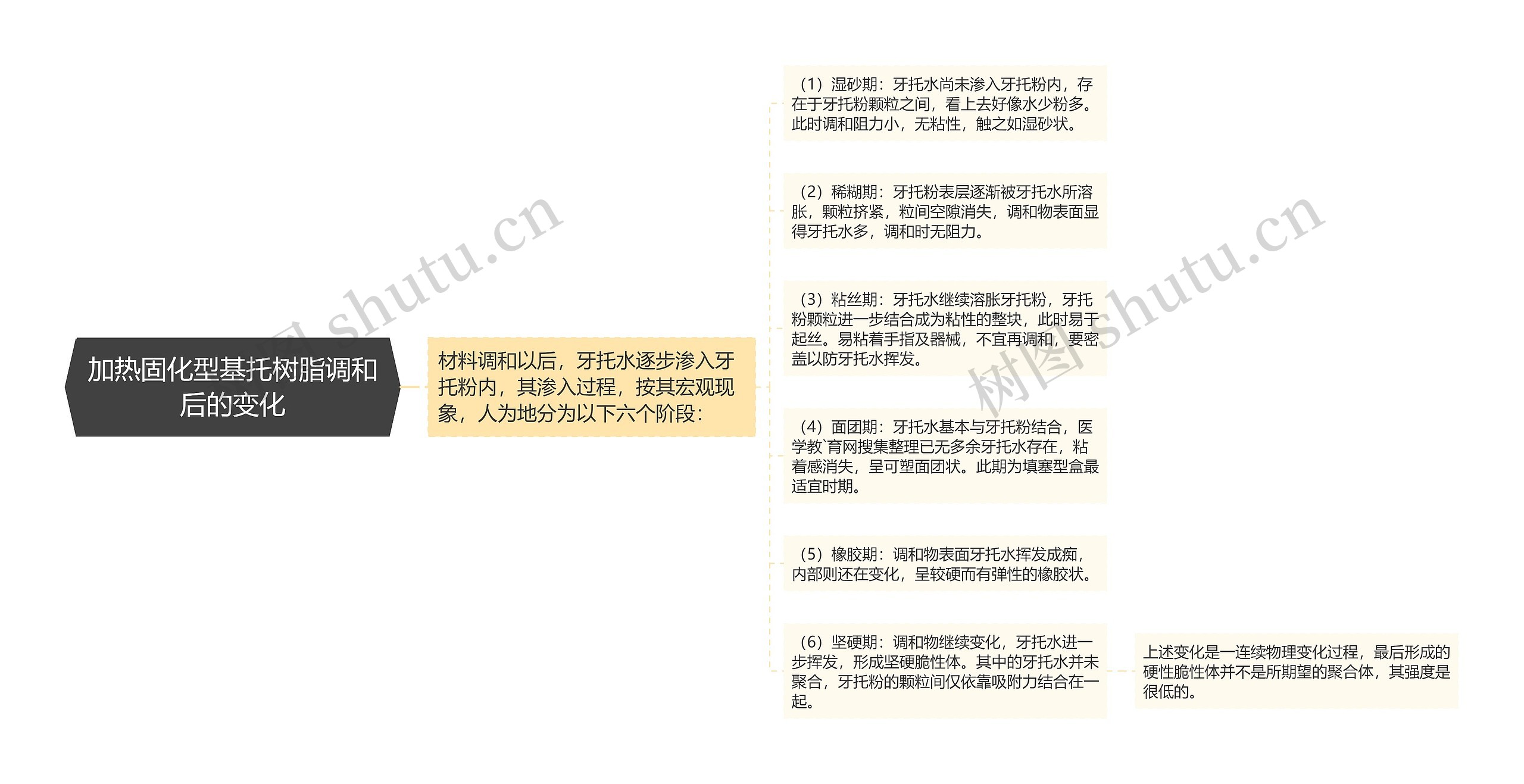 加热固化型基托树脂调和后的变化思维导图