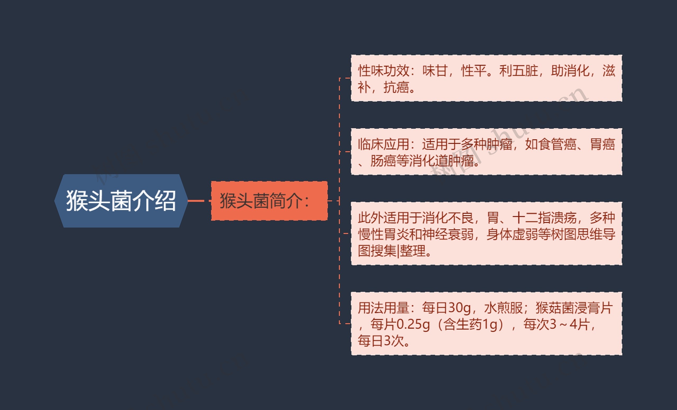 猴头菌介绍思维导图