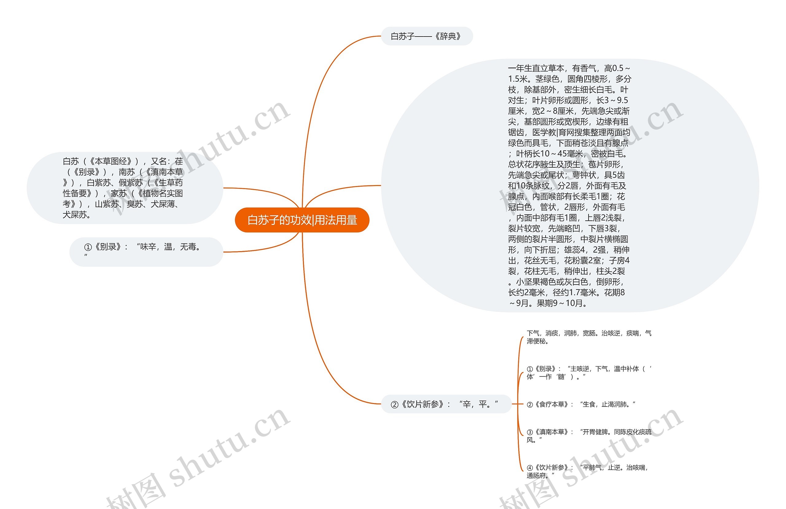 白苏子的功效|用法用量思维导图