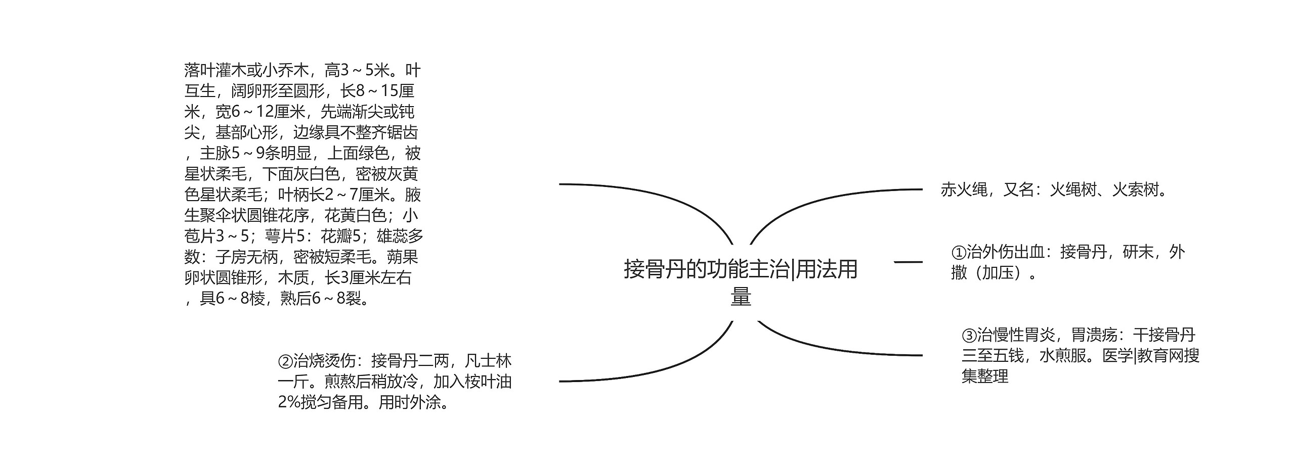 接骨丹的功能主治|用法用量