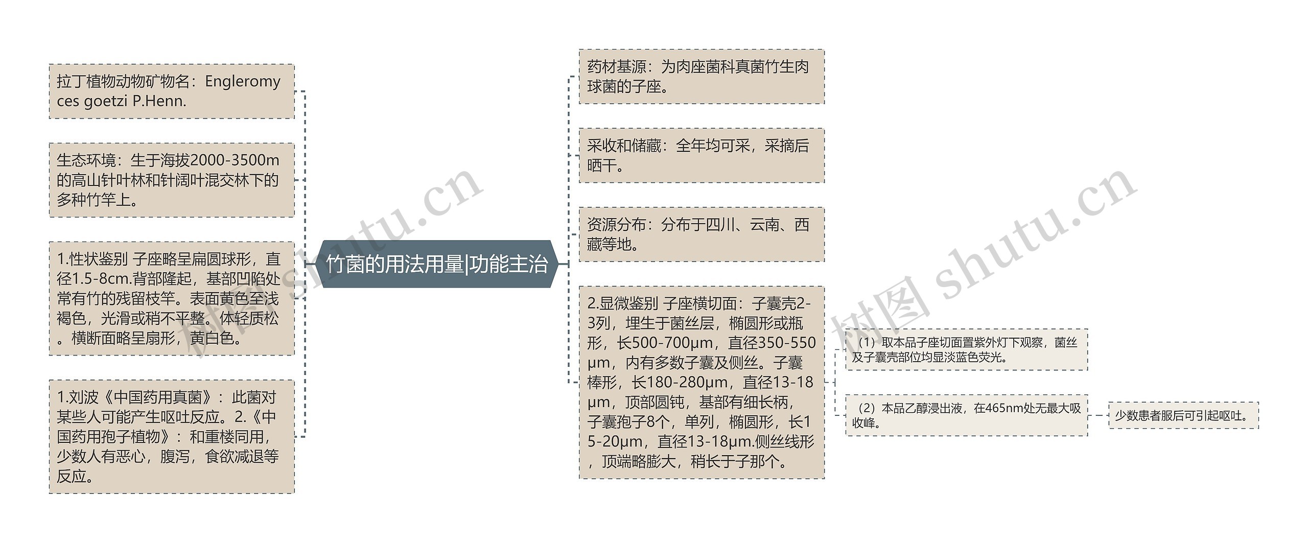 竹菌的用法用量|功能主治