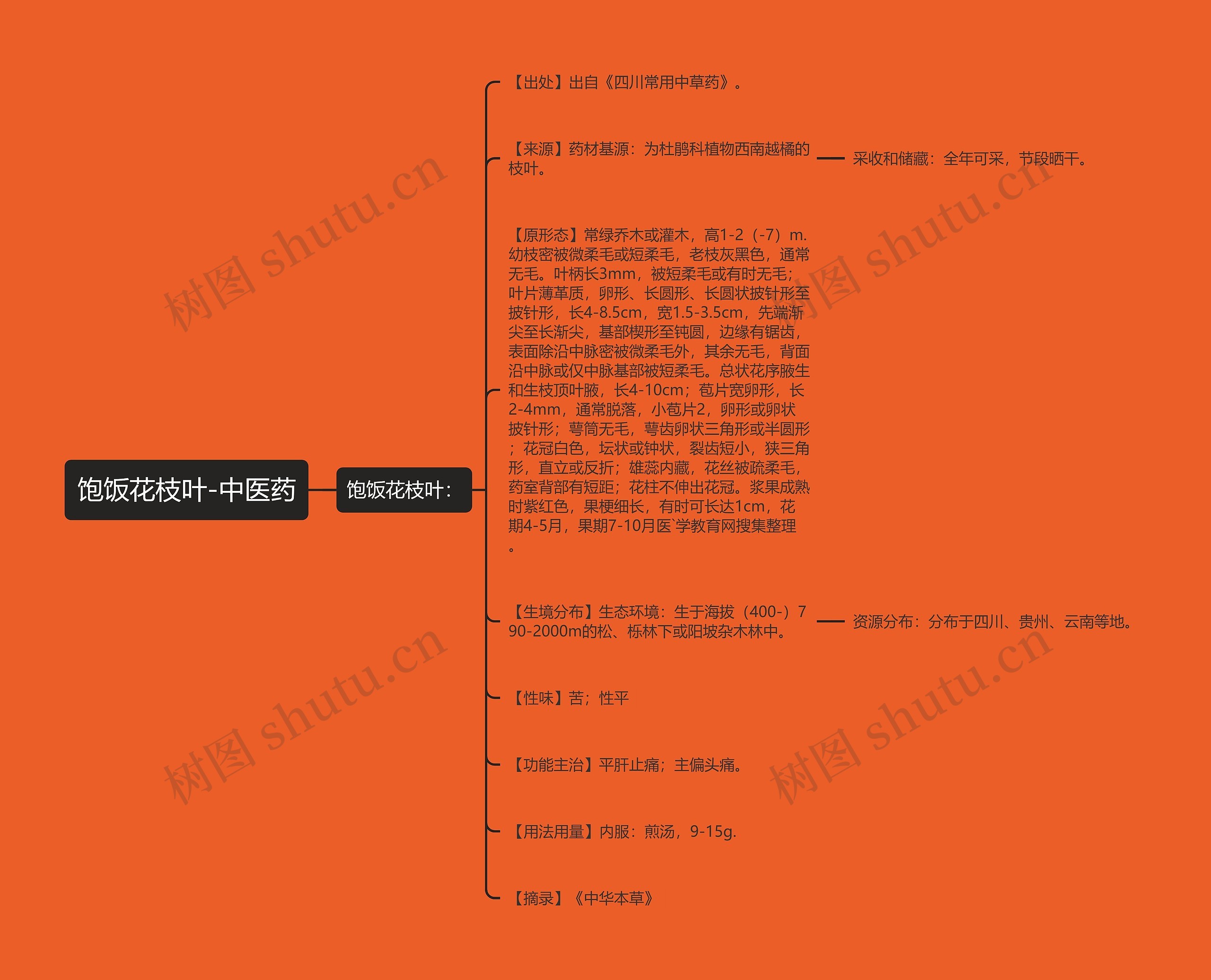 饱饭花枝叶-中医药思维导图