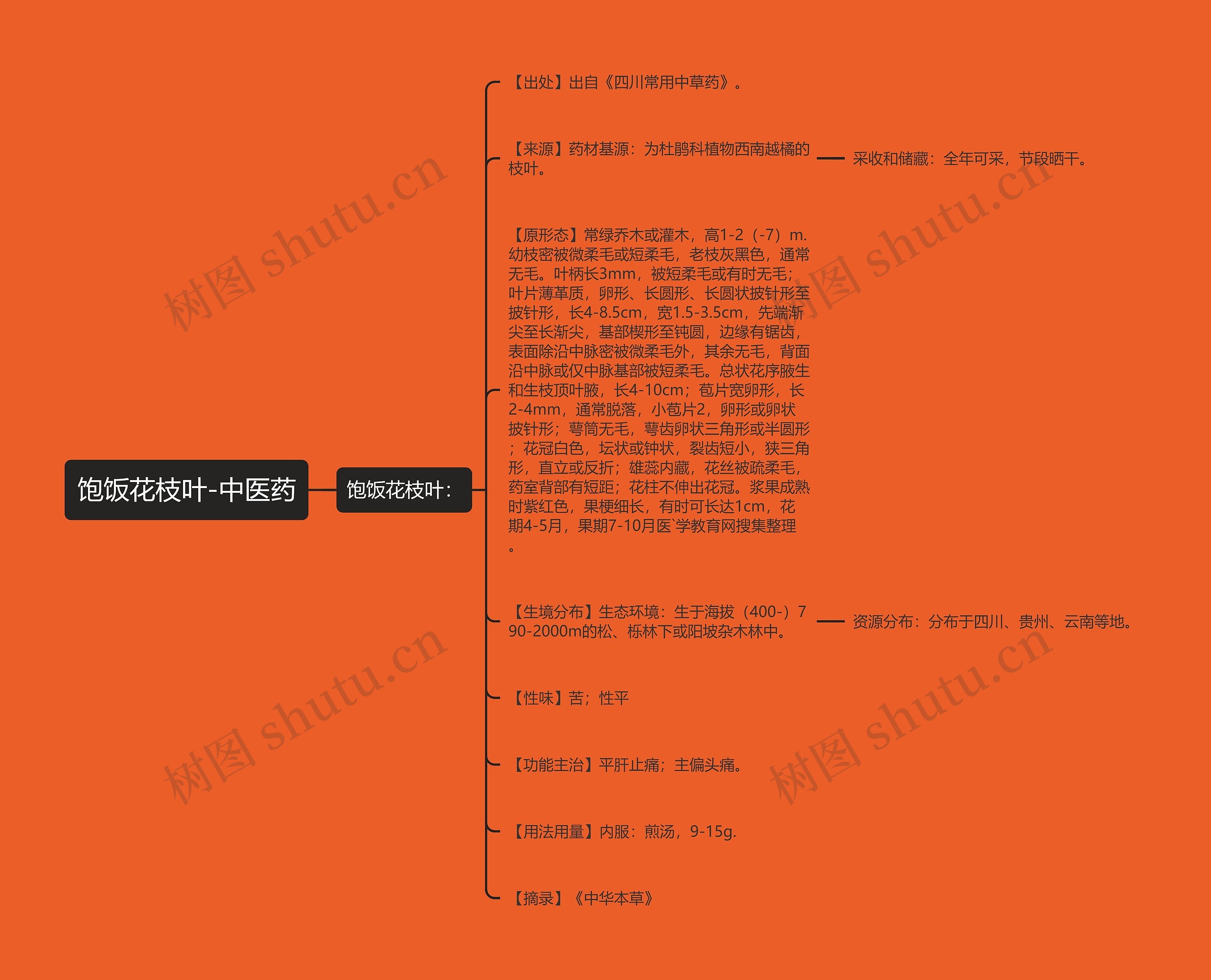 饱饭花枝叶-中医药 饱饭花枝叶-中医药