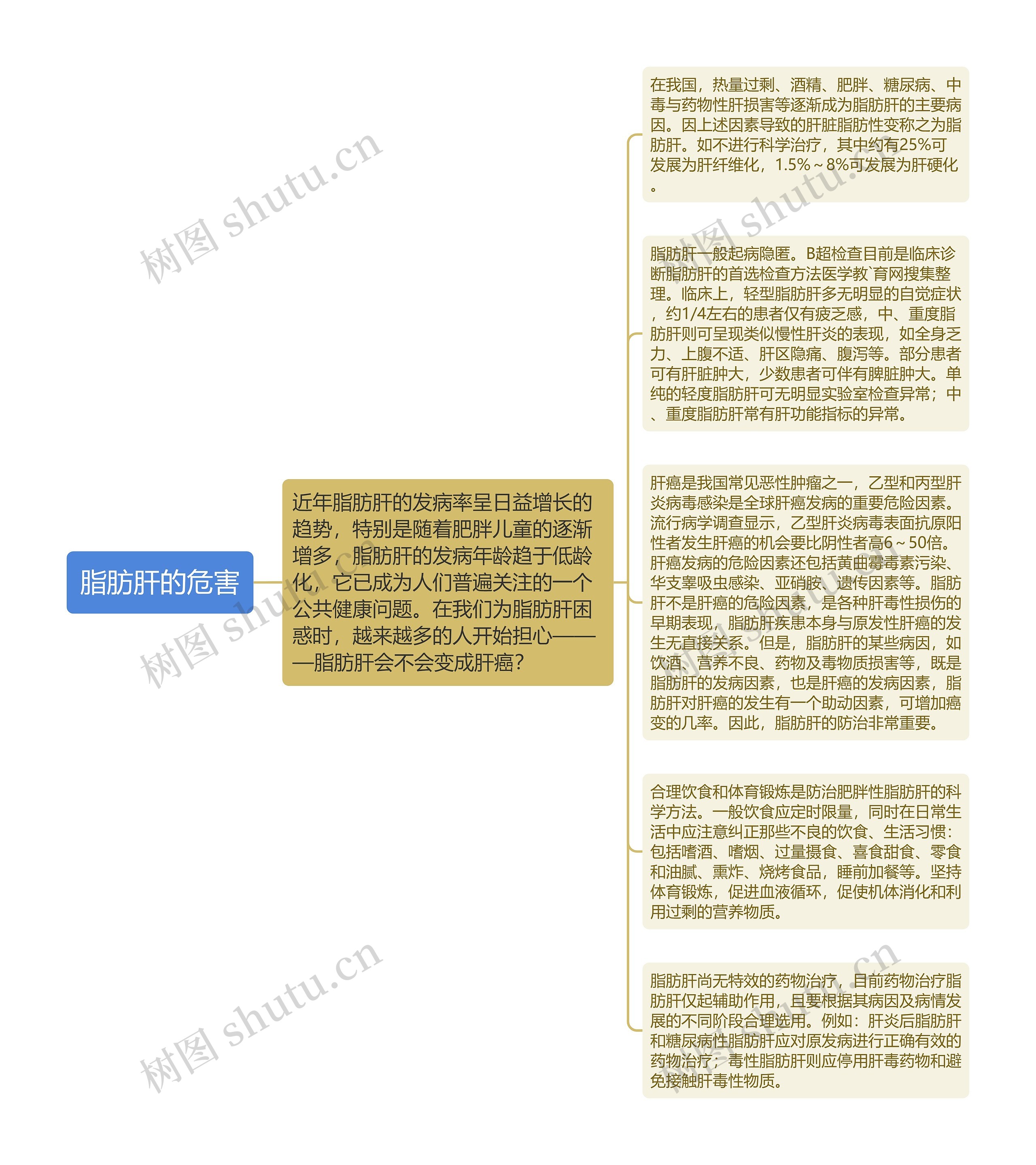 脂肪肝的危害思维导图高清图 脂肪肝的危害思维导图