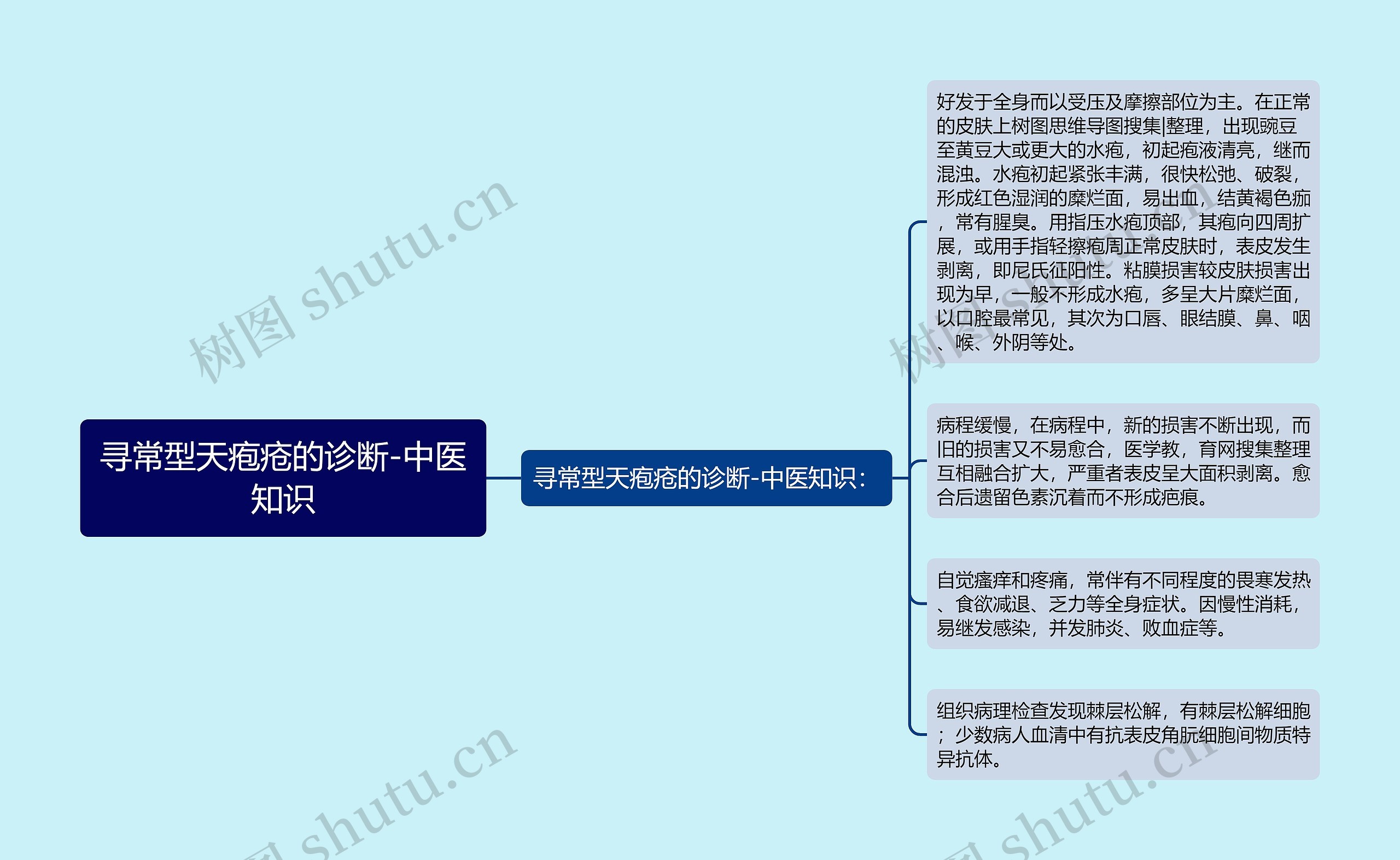 寻常型天疱疮的诊断-中医知识思维导图