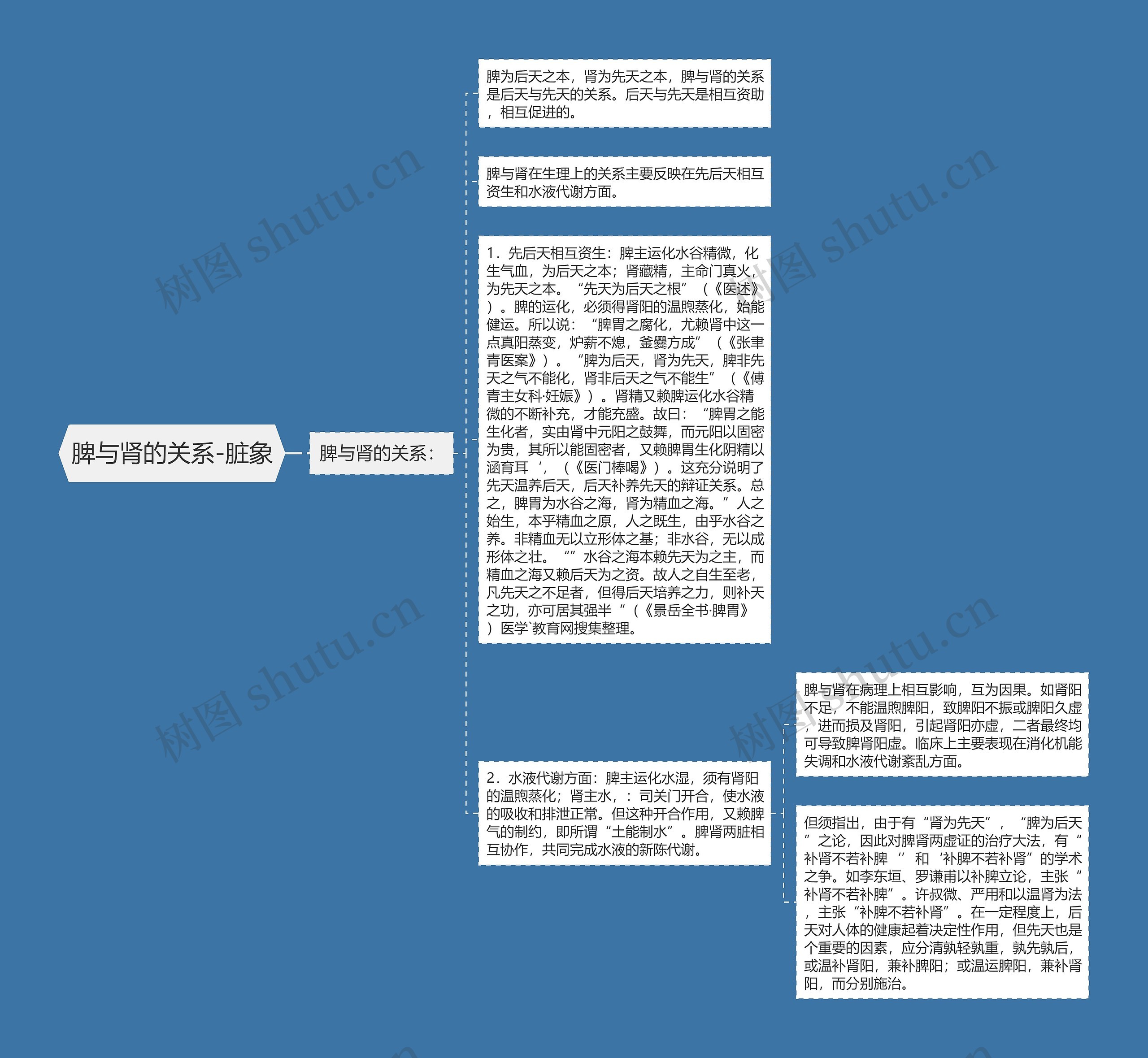 脾与肾的关系-脏象思维导图