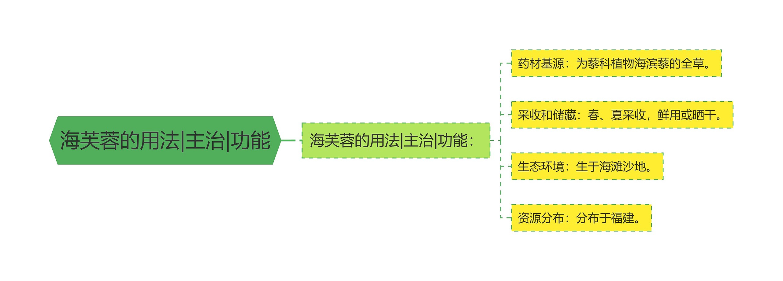 海芙蓉的用法|主治|功能思维导图