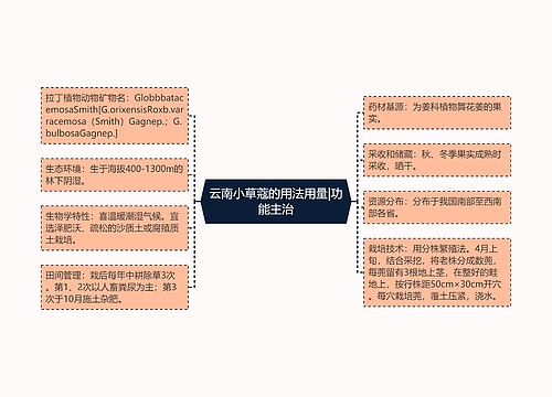 云南小草蔻的用法用量|功能主治