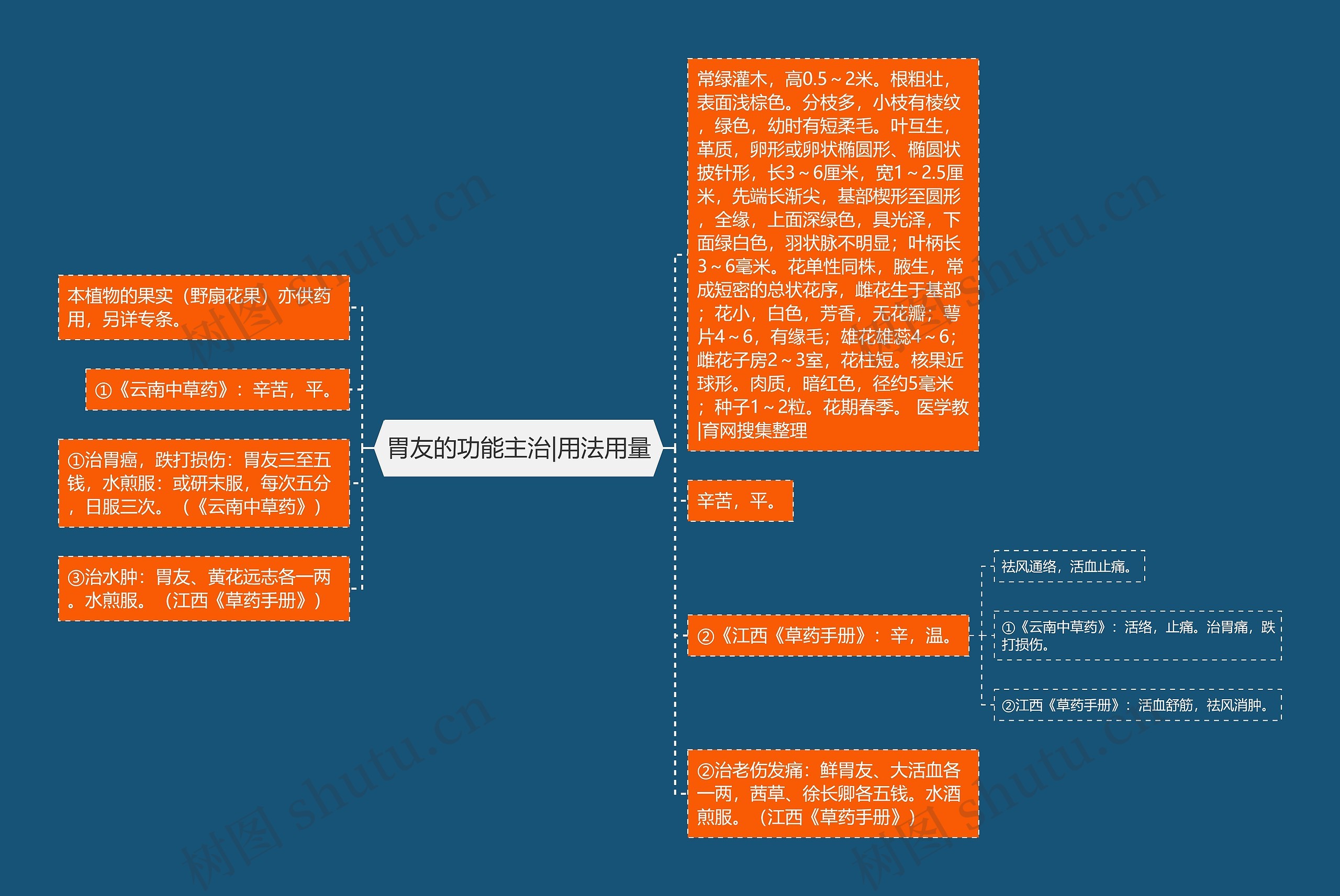 胃友的功能主治|用法用量思维导图