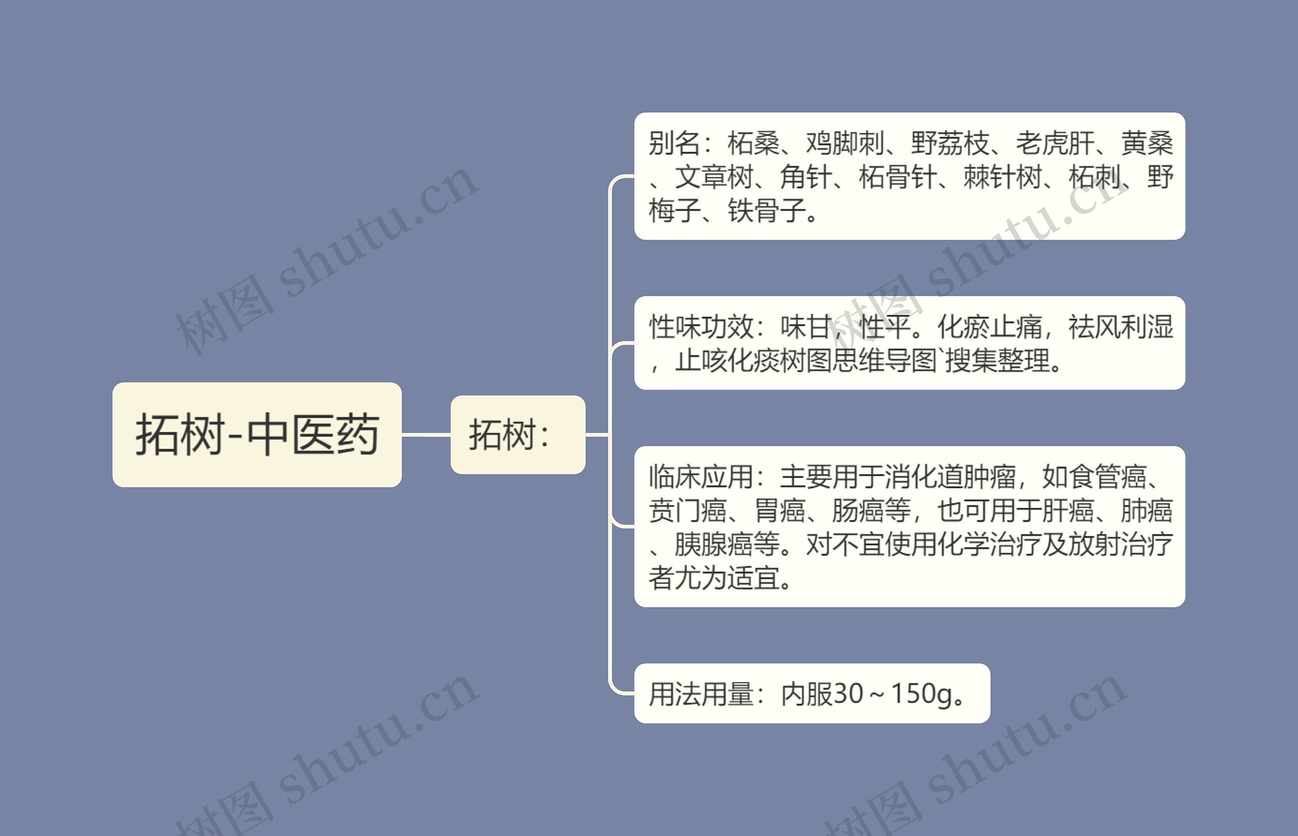 拓树-中医药思维导图