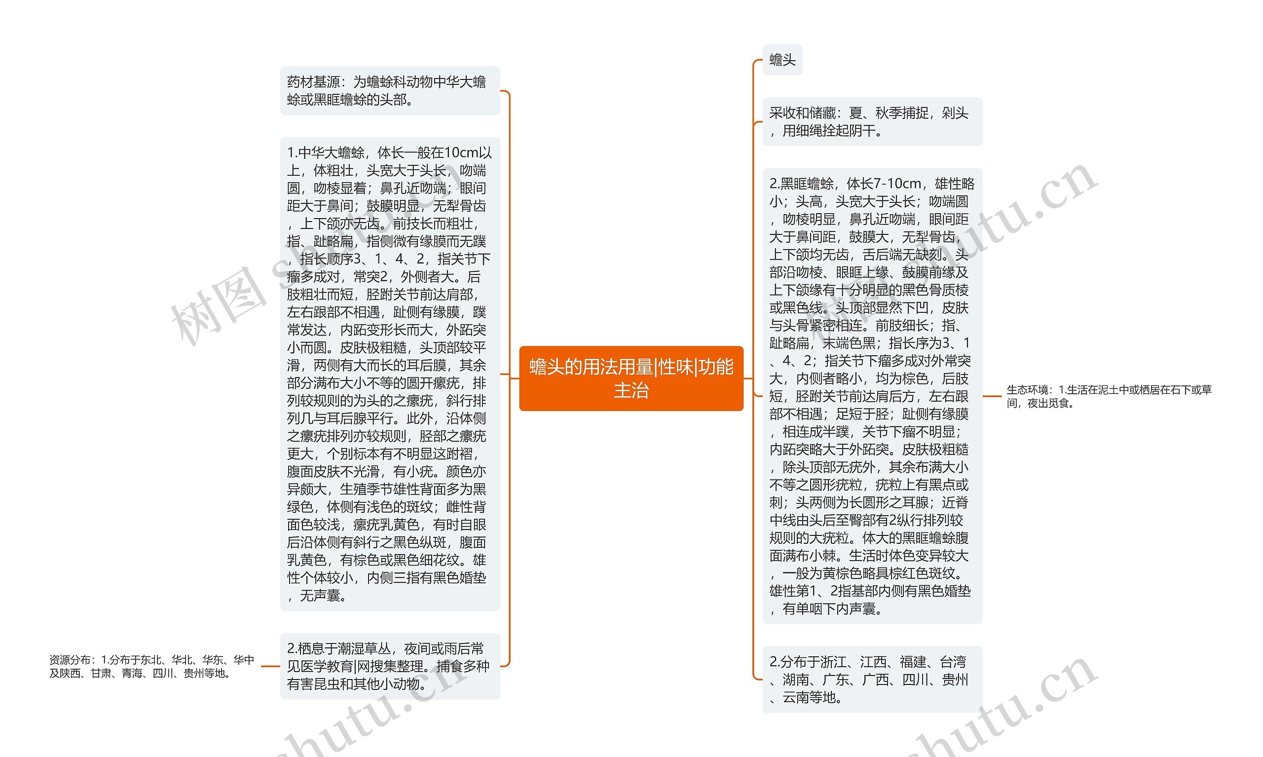 蟾头的用法用量|性味|功能主治