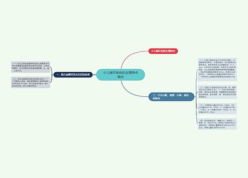 小儿循环系统的生理特点简述