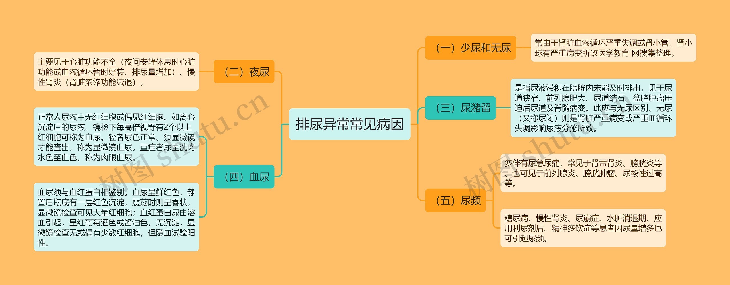 排尿异常常见病因思维导图