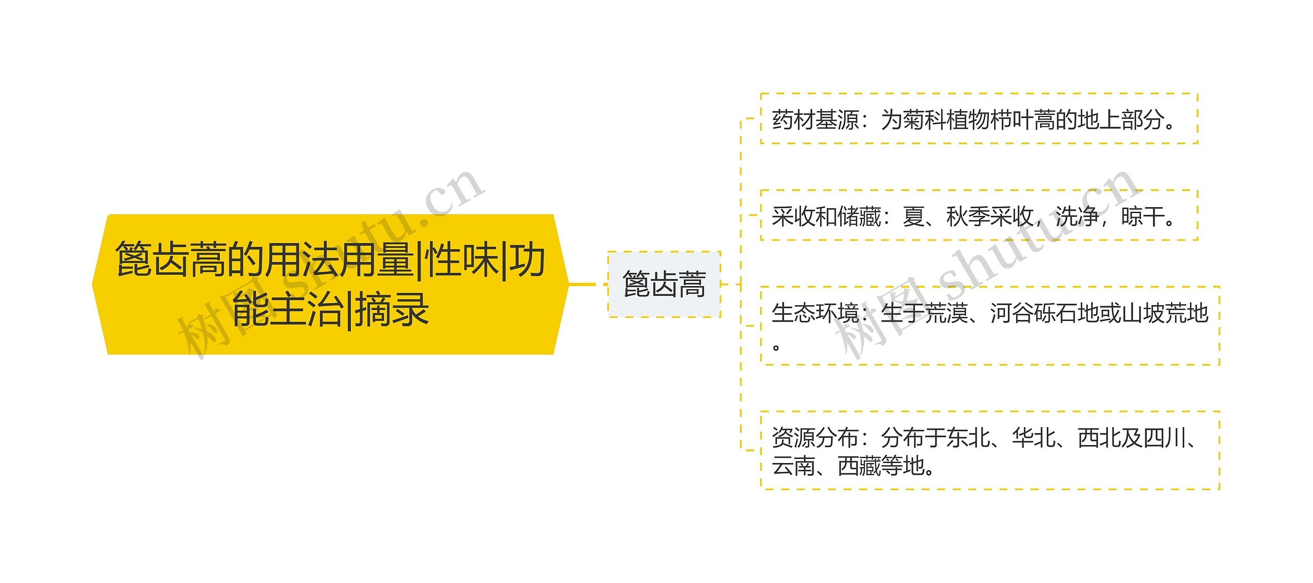 篦齿蒿的用法用量|性味|功能主治|摘录思维导图