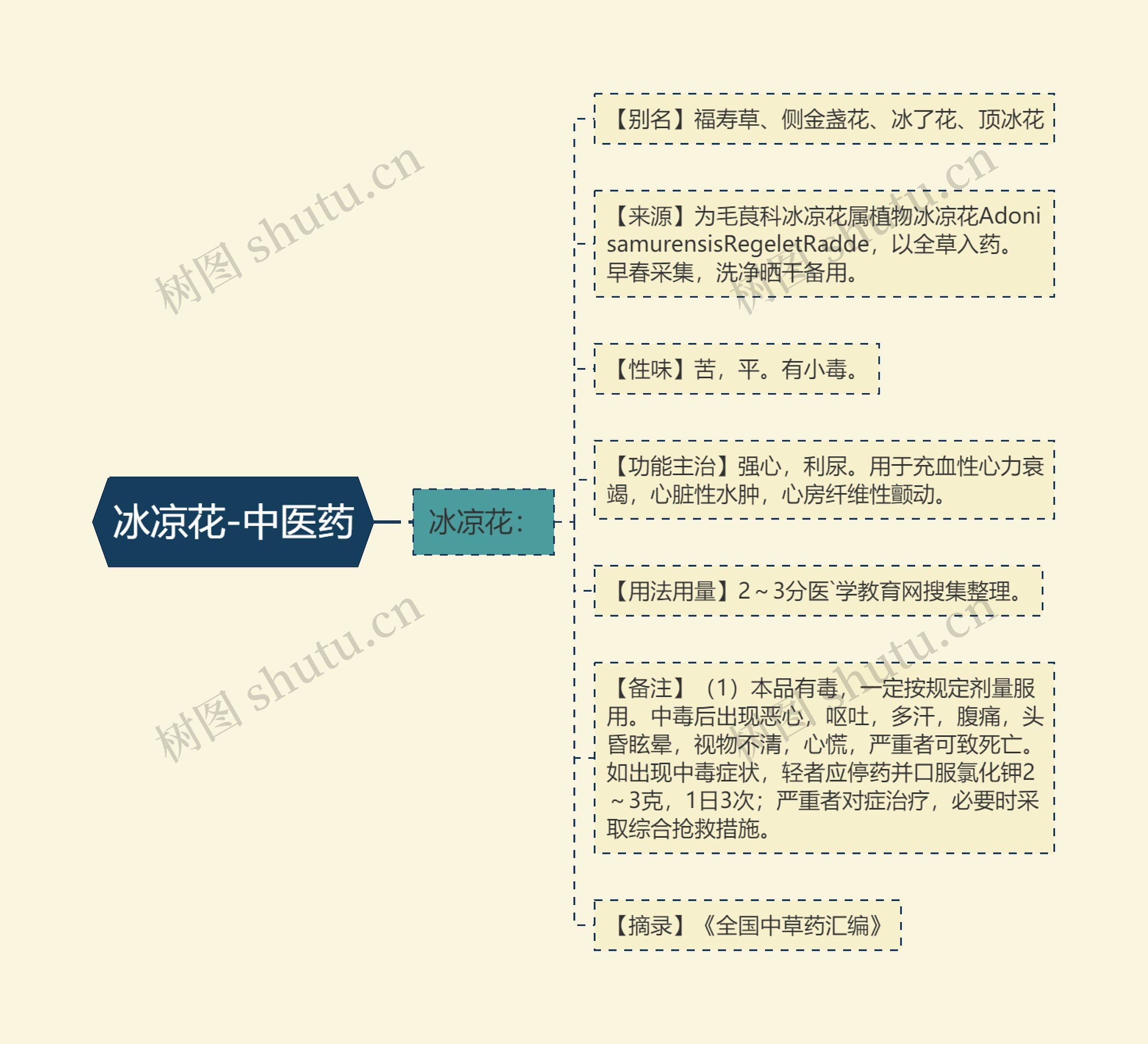 冰凉花-中医药思维导图