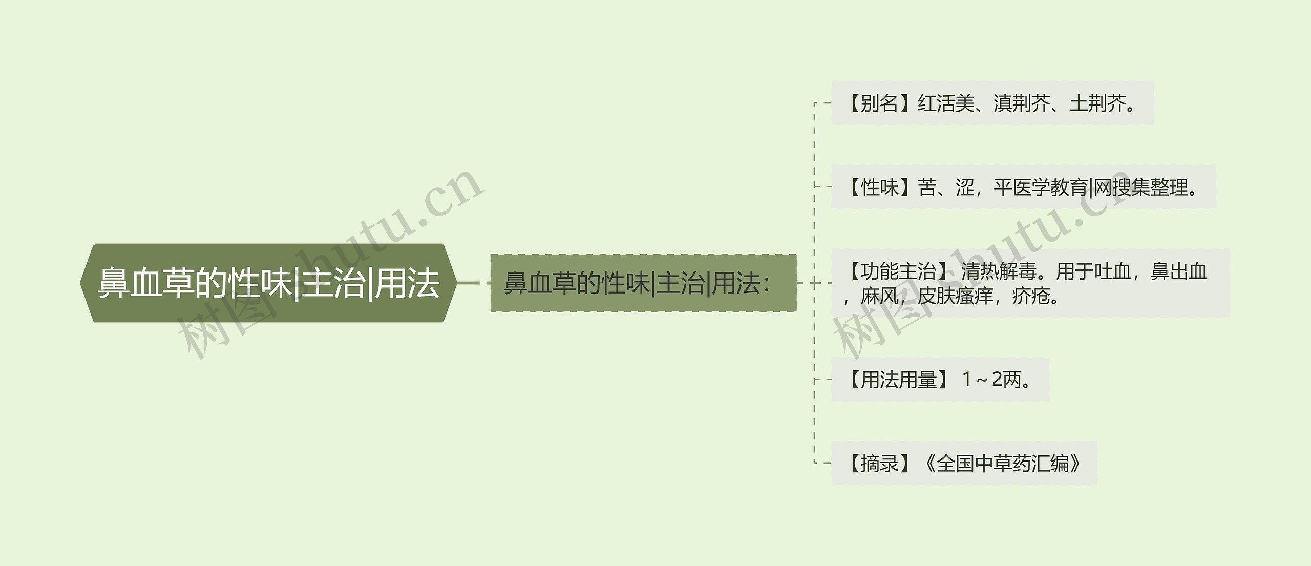 鼻血草的性味|主治|用法