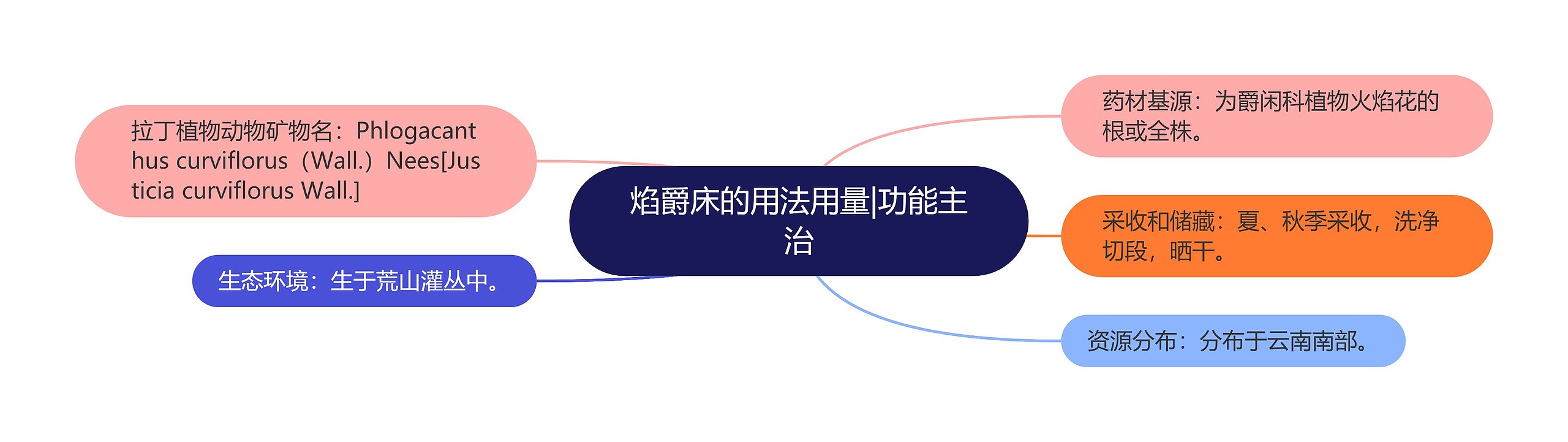 焰爵床的用法用量|功能主治 焰爵床的用法用量|功能主治