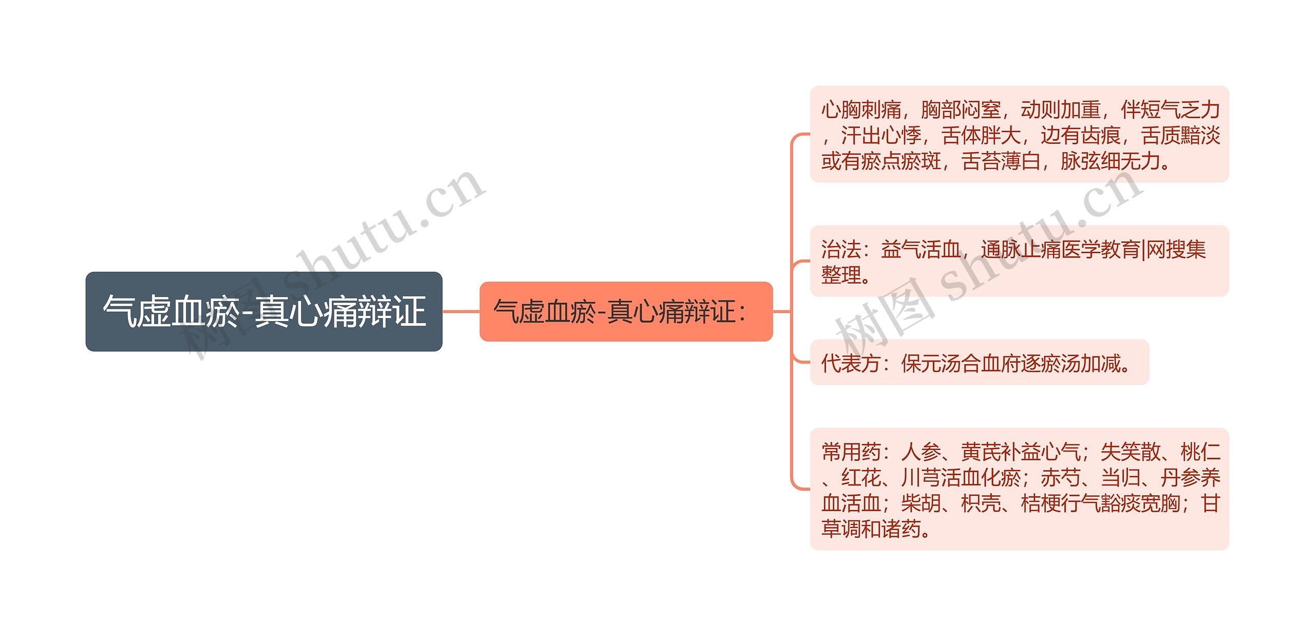 气虚血瘀-真心痛辩证思维导图