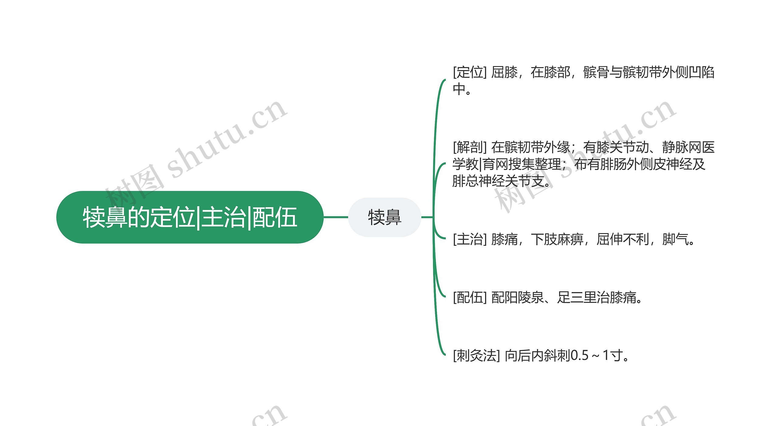 犊鼻的定位|主治|配伍