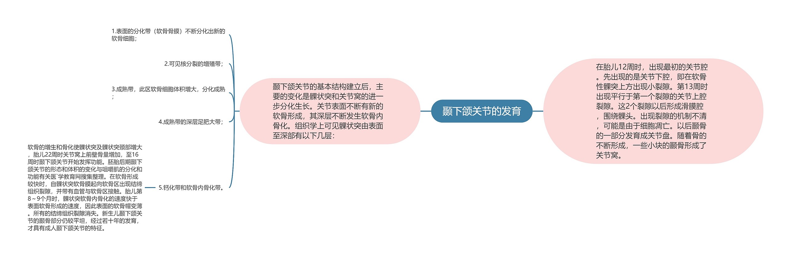 颞下颌关节的发育思维导图