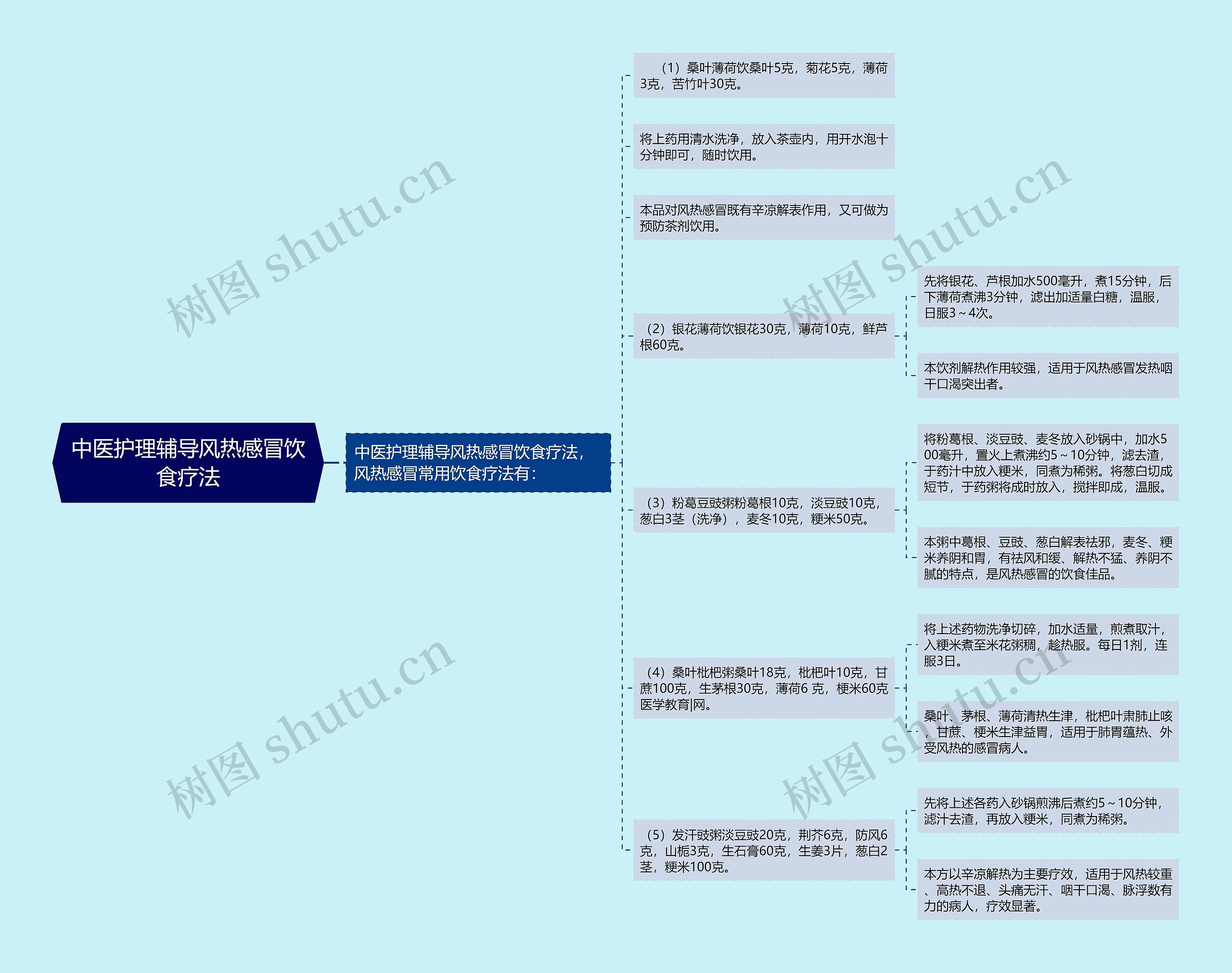 中医护理辅导风热感冒饮食疗法思维导图