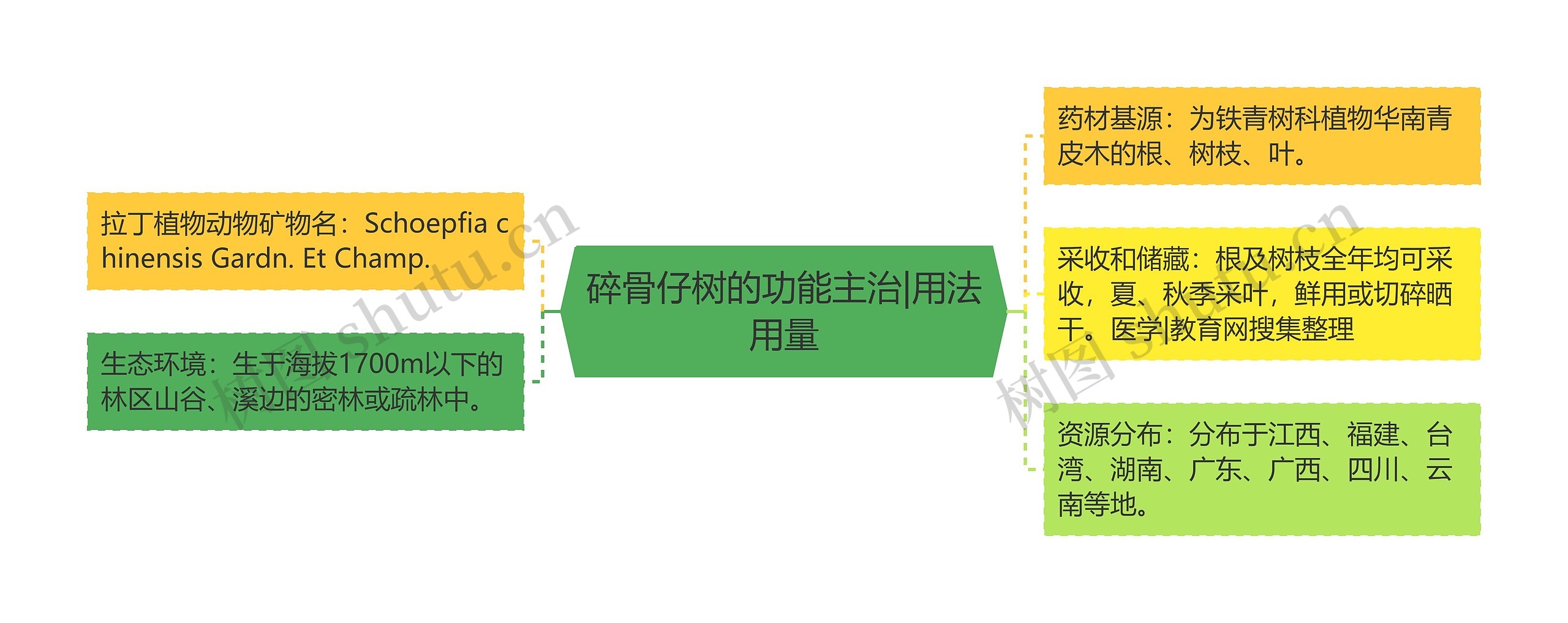 碎骨仔树的功能主治|用法用量思维导图