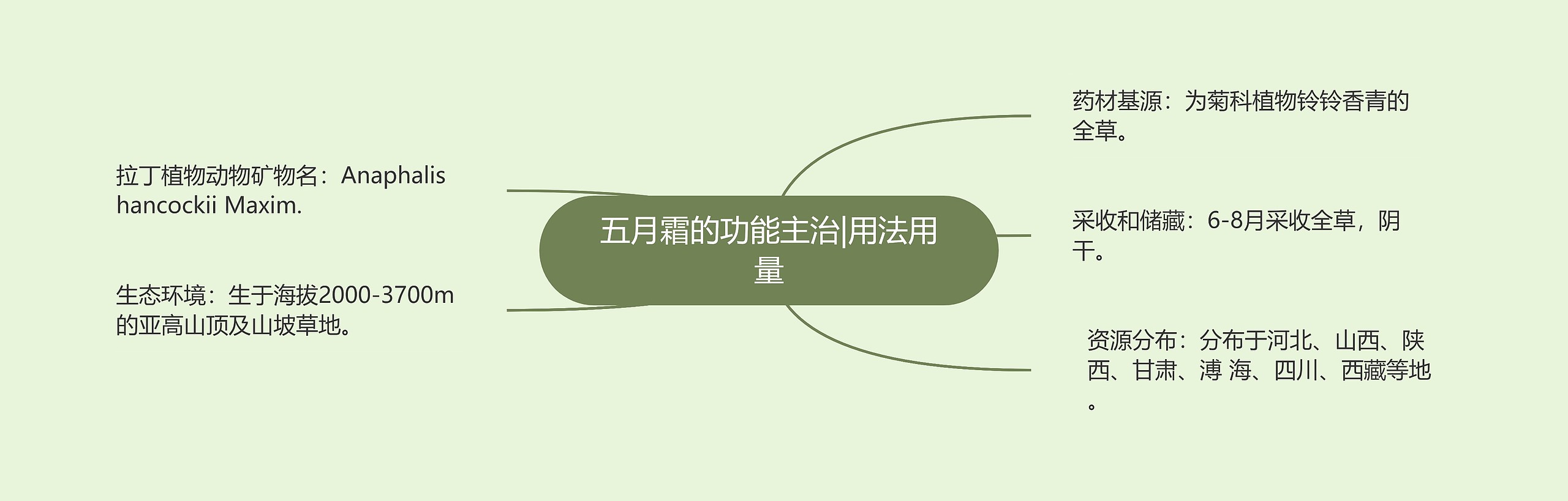 五月霜的功能主治|用法用量 五月霜的功能主治|用法用量