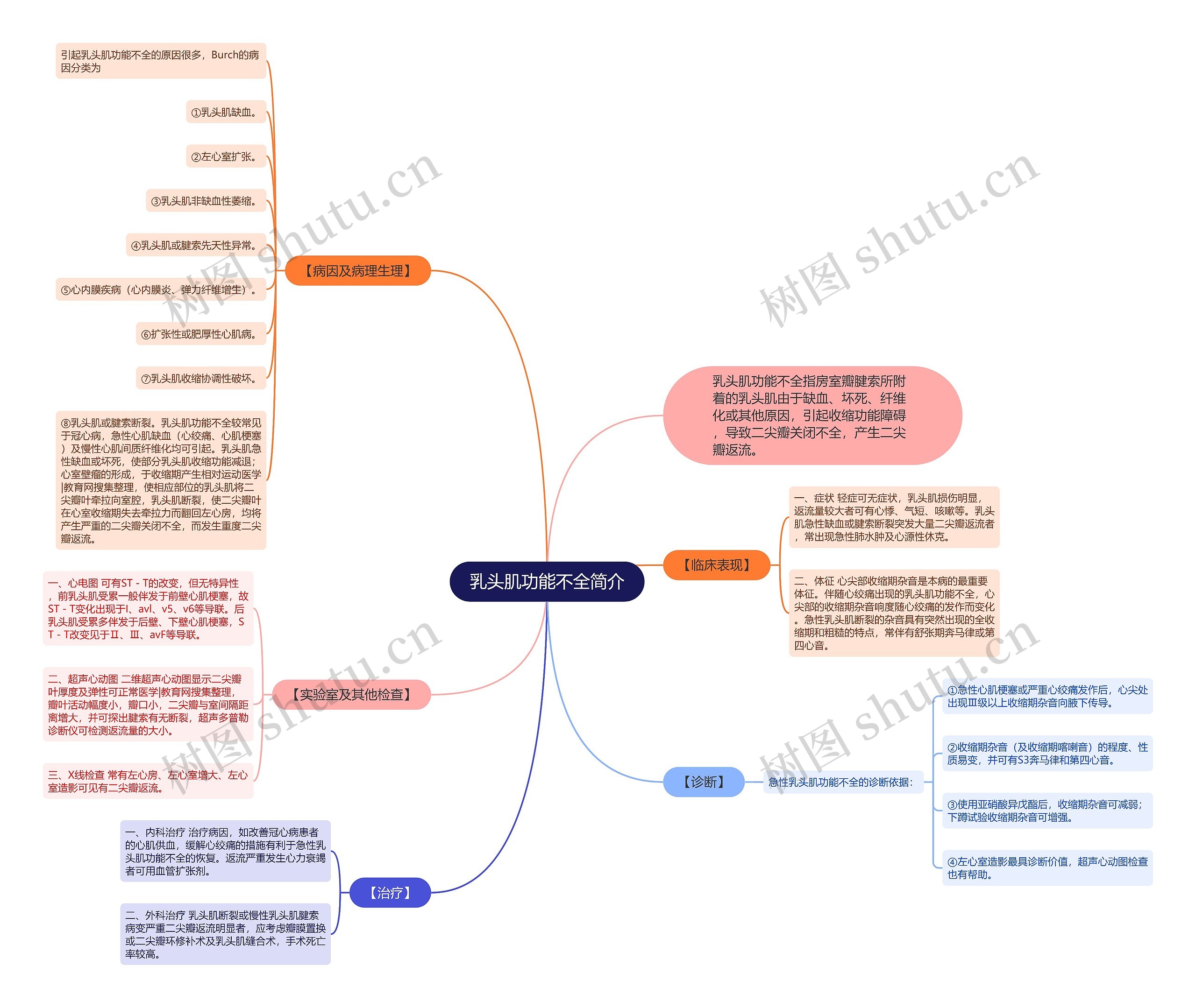 乳头肌功能不全简介 乳头肌功能不全简介