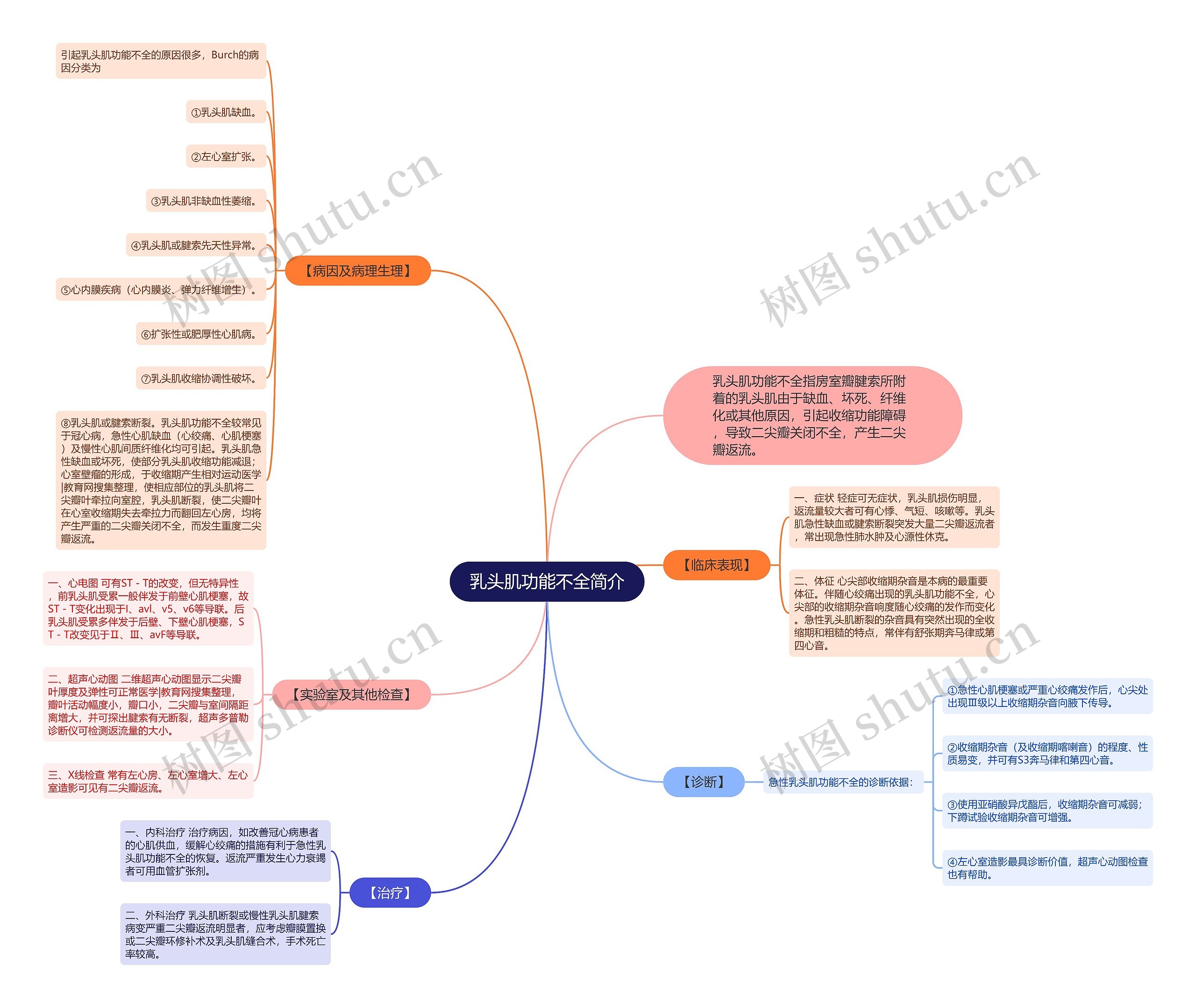 乳头肌功能不全简介思维导图