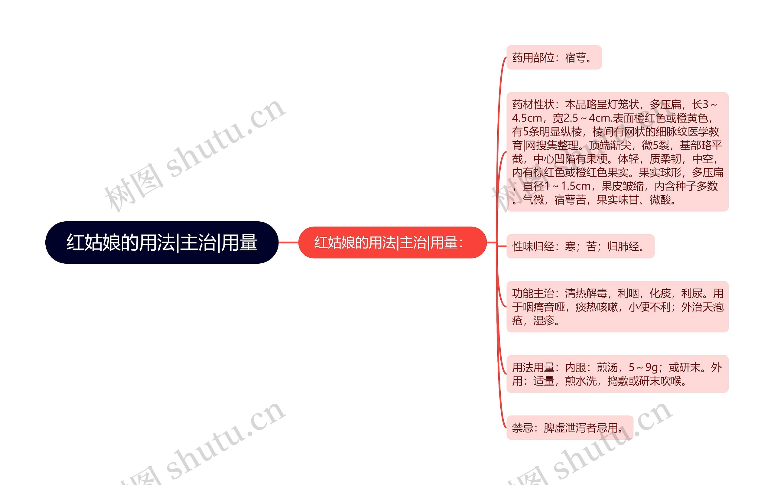 红姑娘的用法|主治|用量思维导图