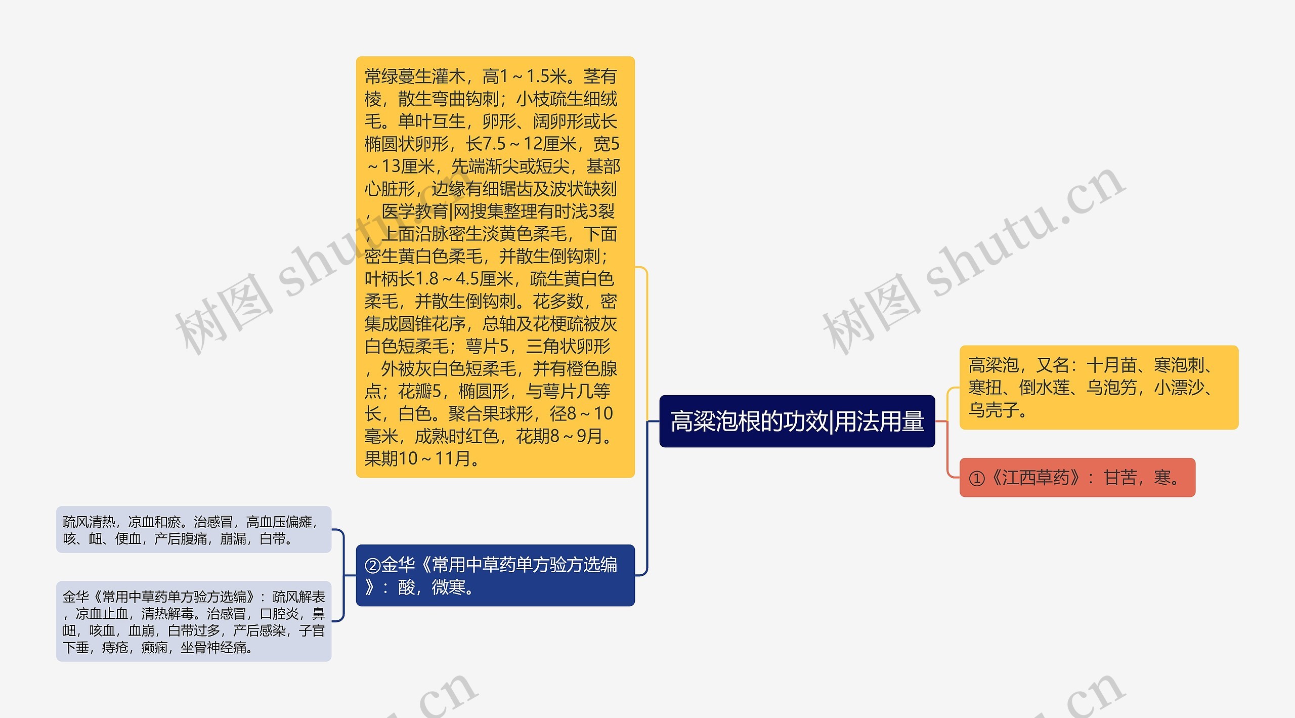 高粱泡根的功效|用法用量思维导图