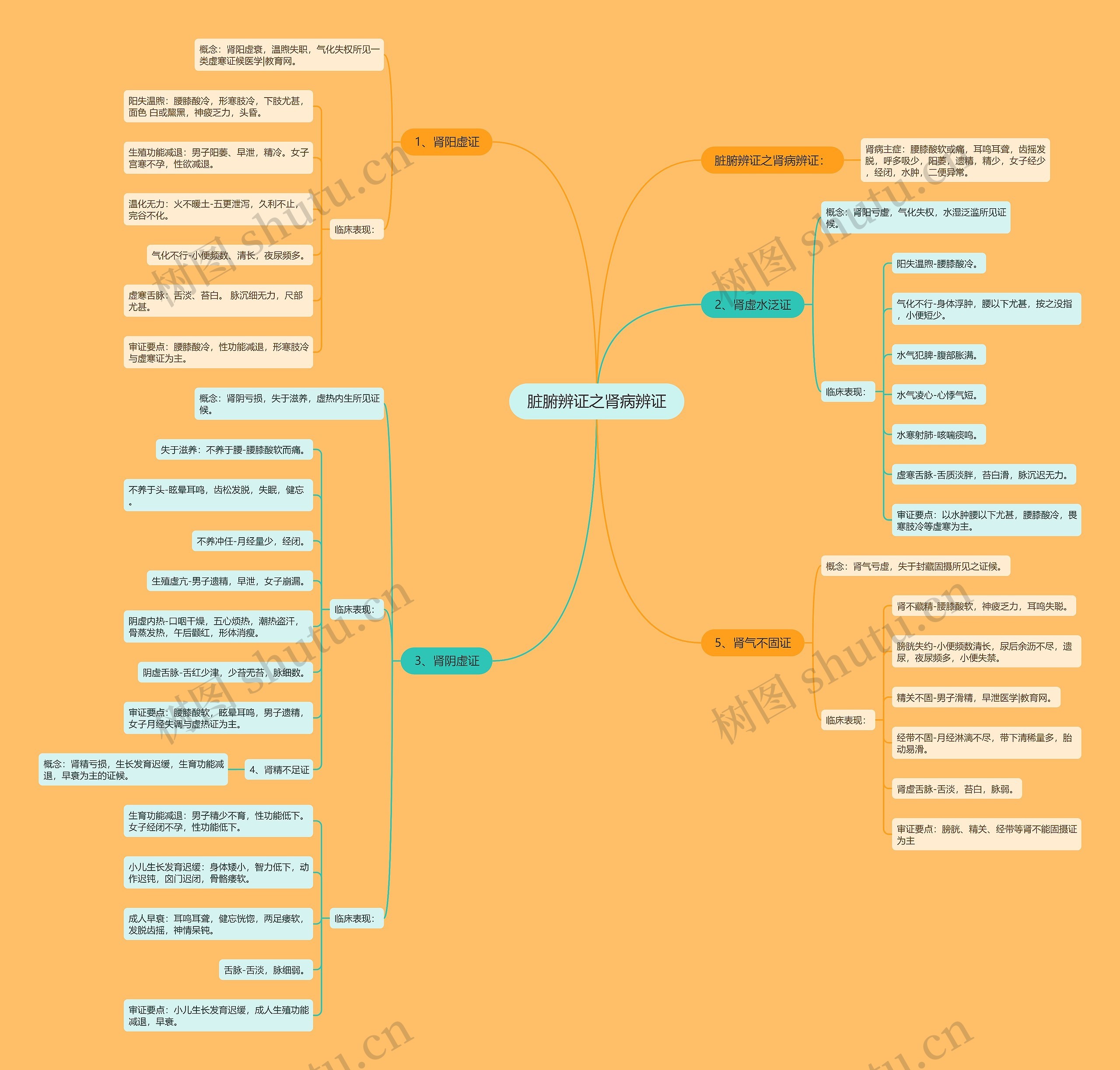 脏腑辨证之肾病辨证 脏腑辨证之肾病辨证