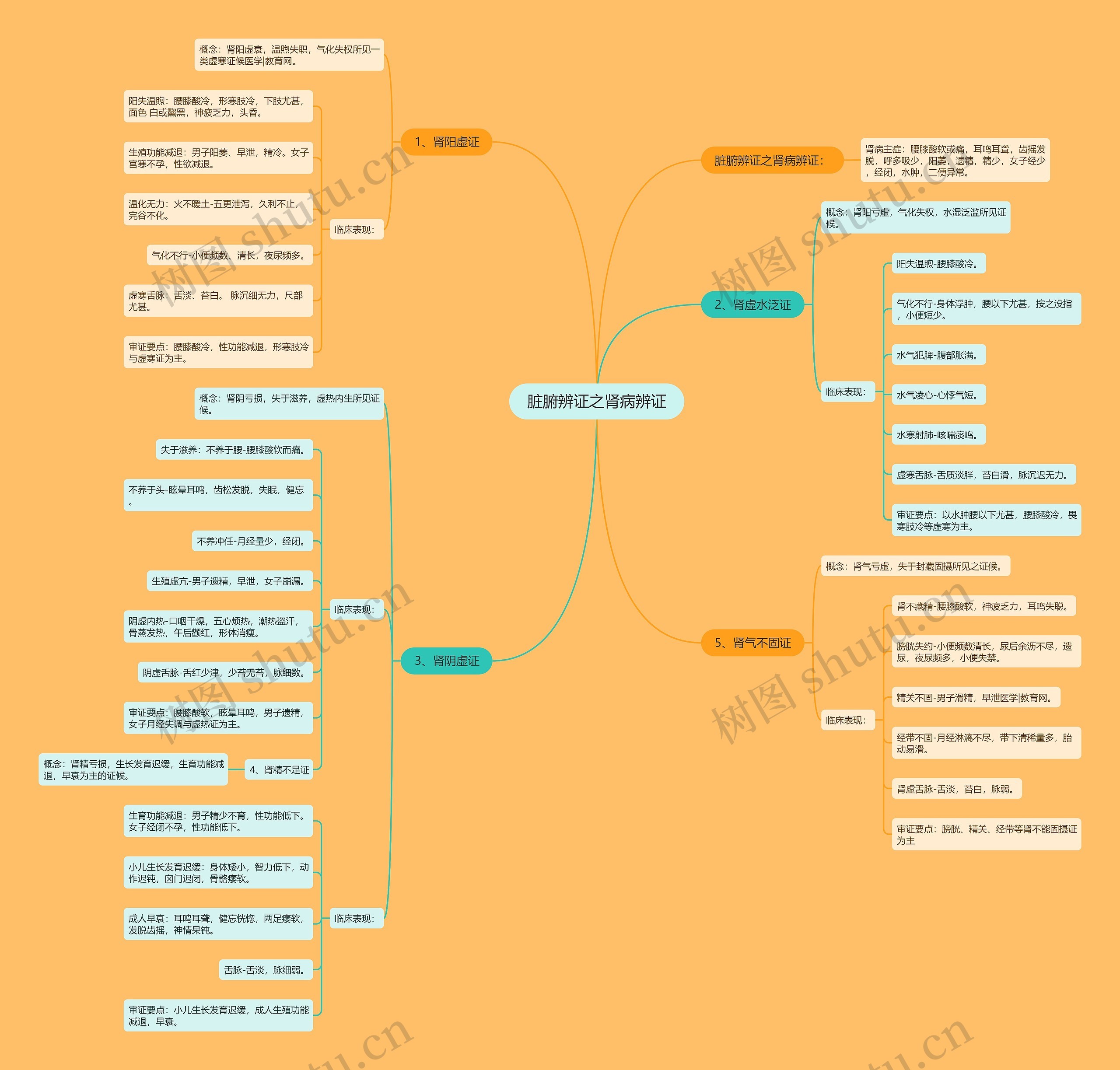 脏腑辨证之肾病辨证思维导图