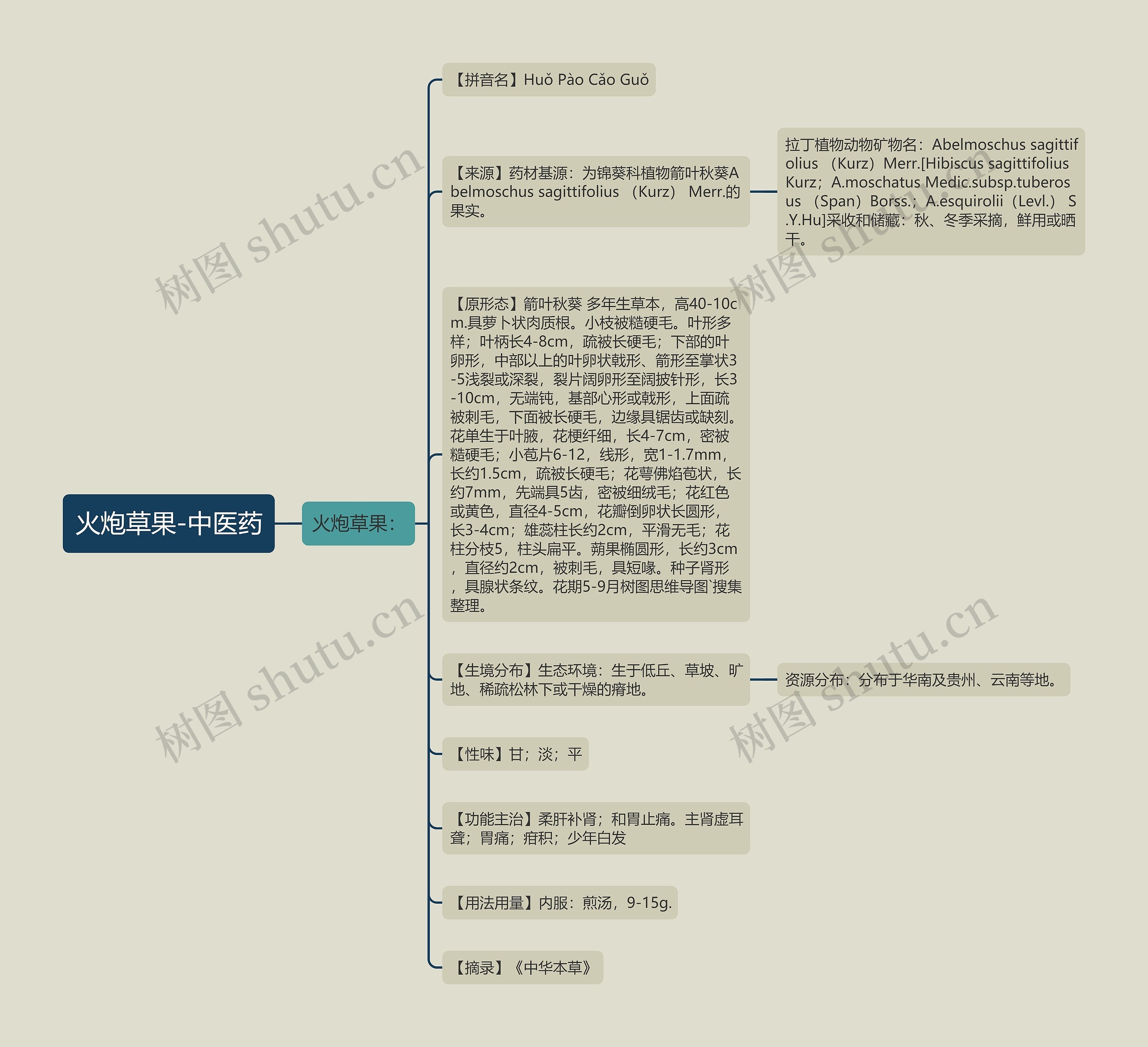 火炮草果-中医药思维导图